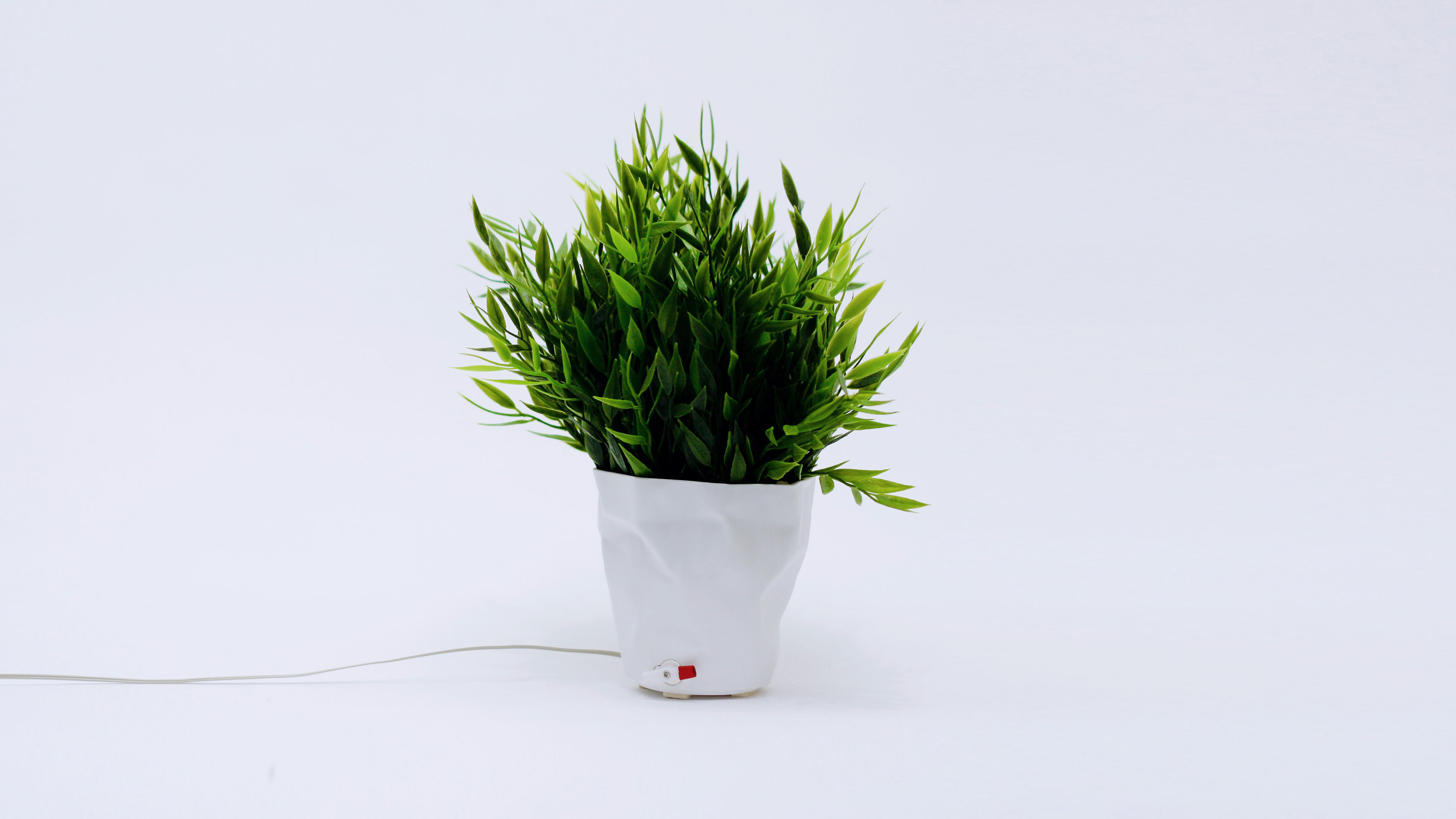 Plant with psychotic traits.