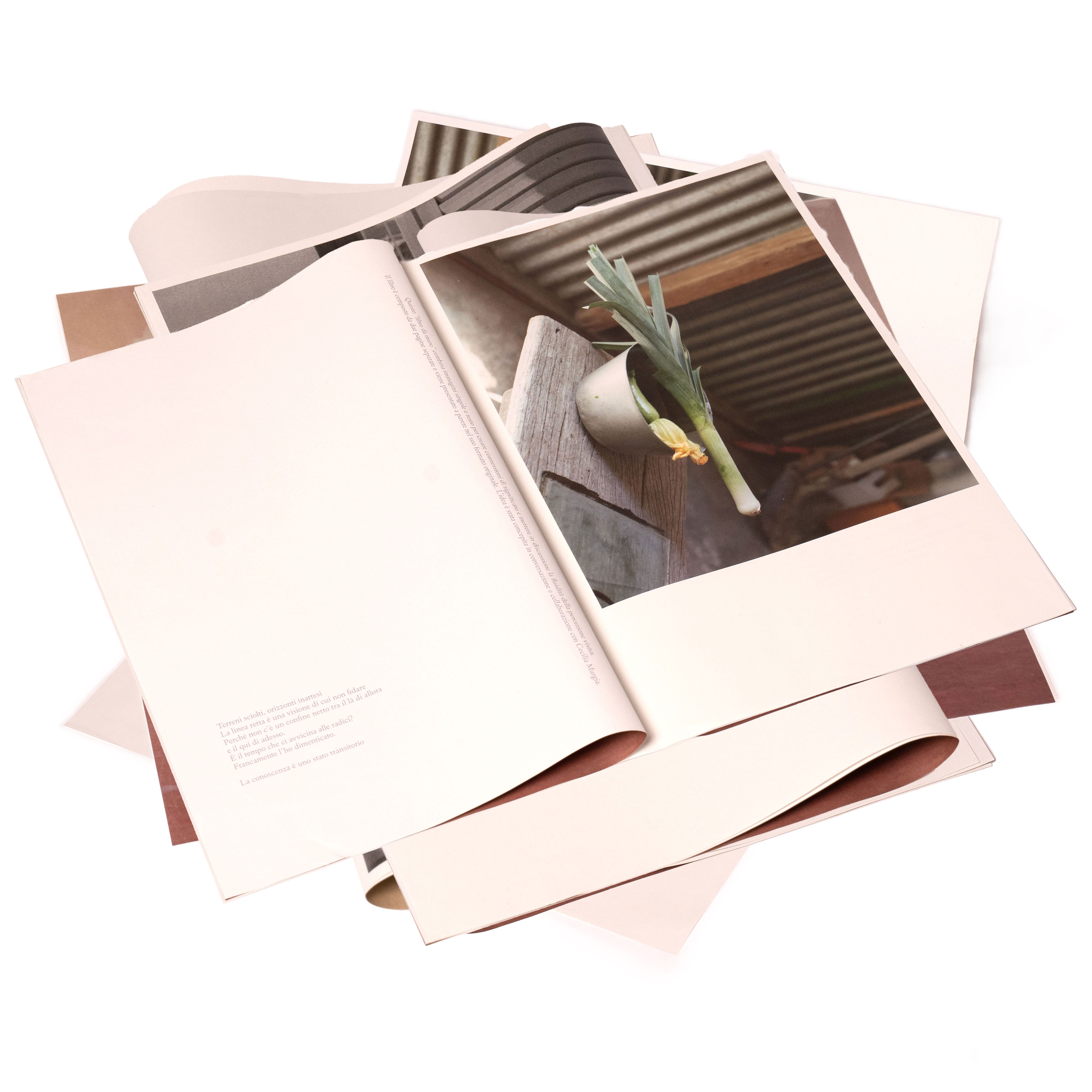 Libro da Muro (Wall Book), digital documentation, 2023