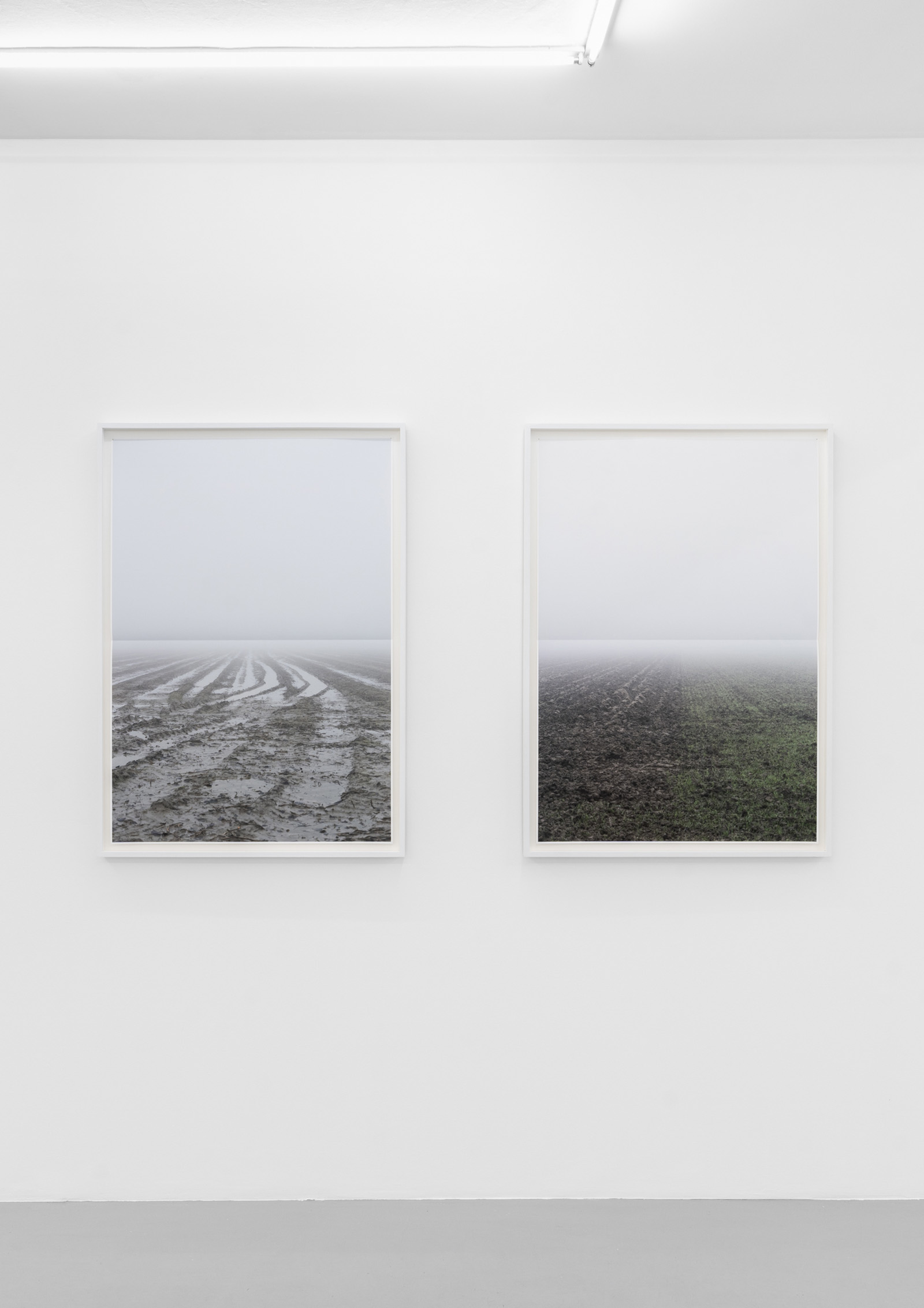 © Stijn COLE fold at Irene Laub gallery, Bruxelles, 2024(photo Hugard & Vanoverschelde)