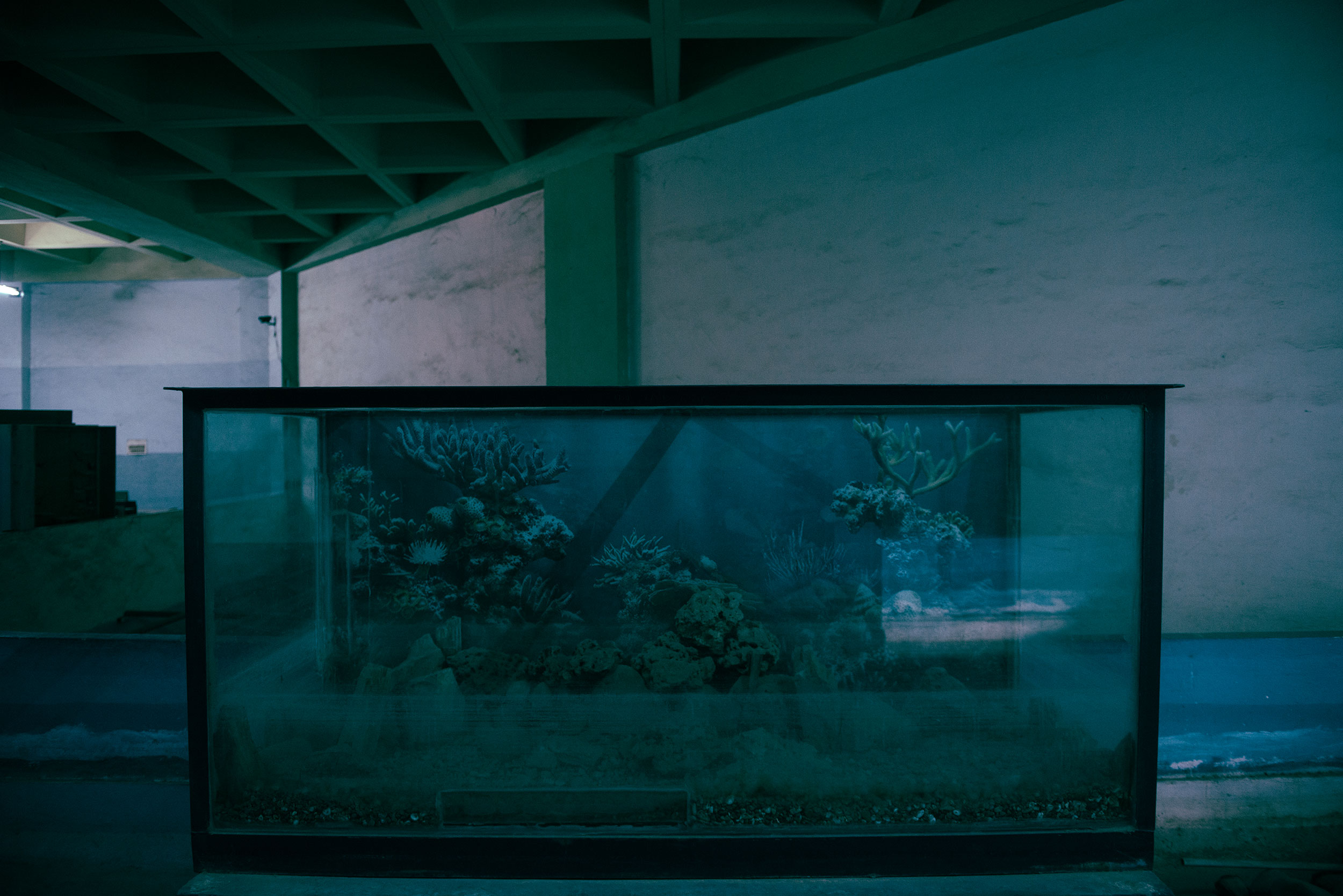 Museum at Birla Planetarium