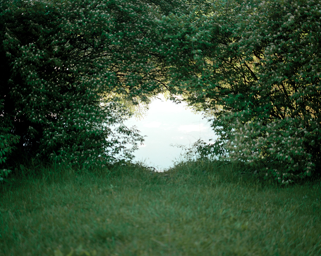 Are you still there?, 2020