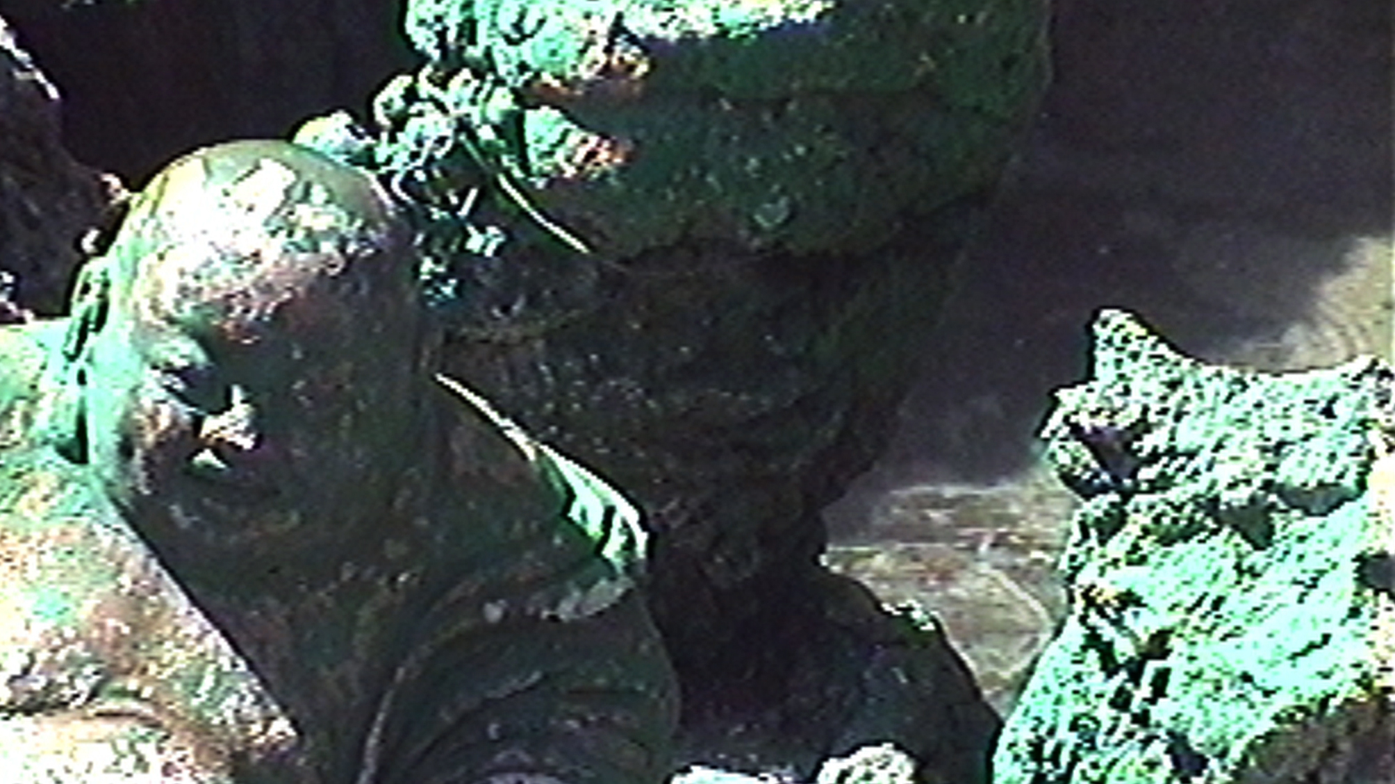 Invernomuto, Wishes of a G, 2014, 6’, still da video, courtesy l’Artista e Museo MA*GA