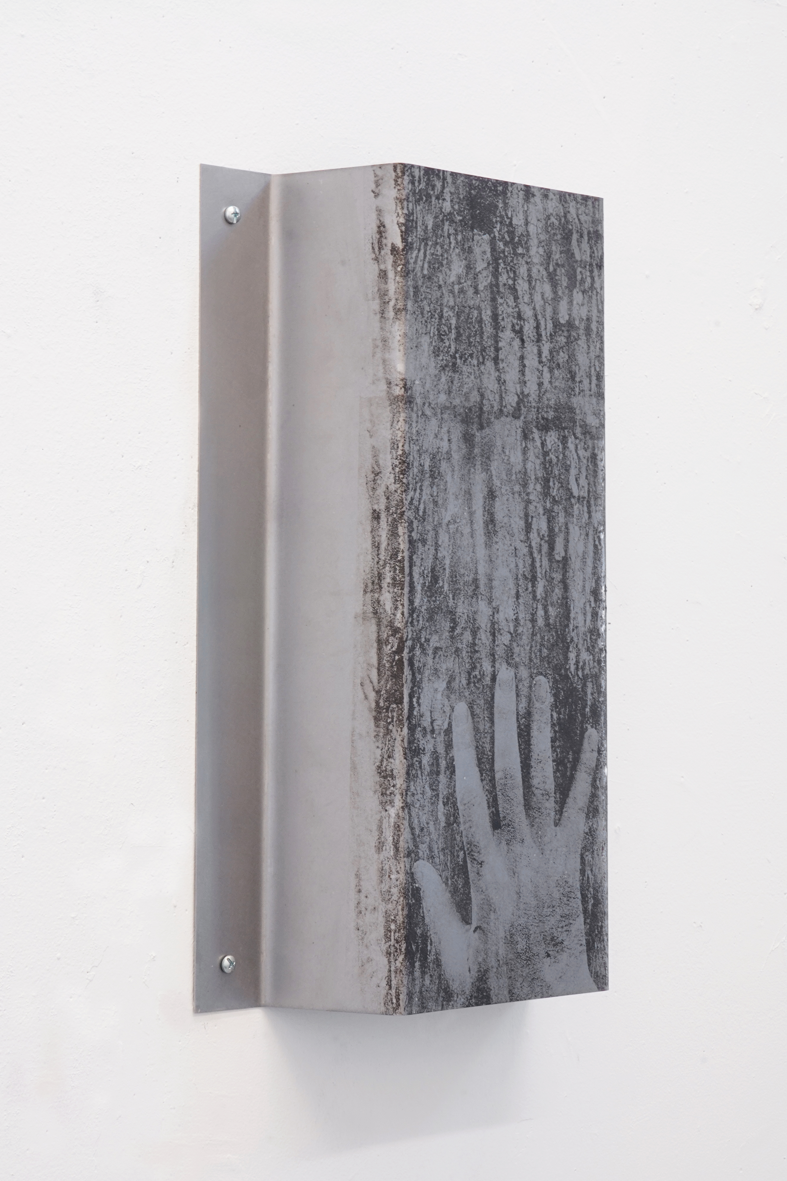The World is Places (Black Ash Tree) / 2025 / Paper litho on steel, hardware / 20 x 27 x 4 inches