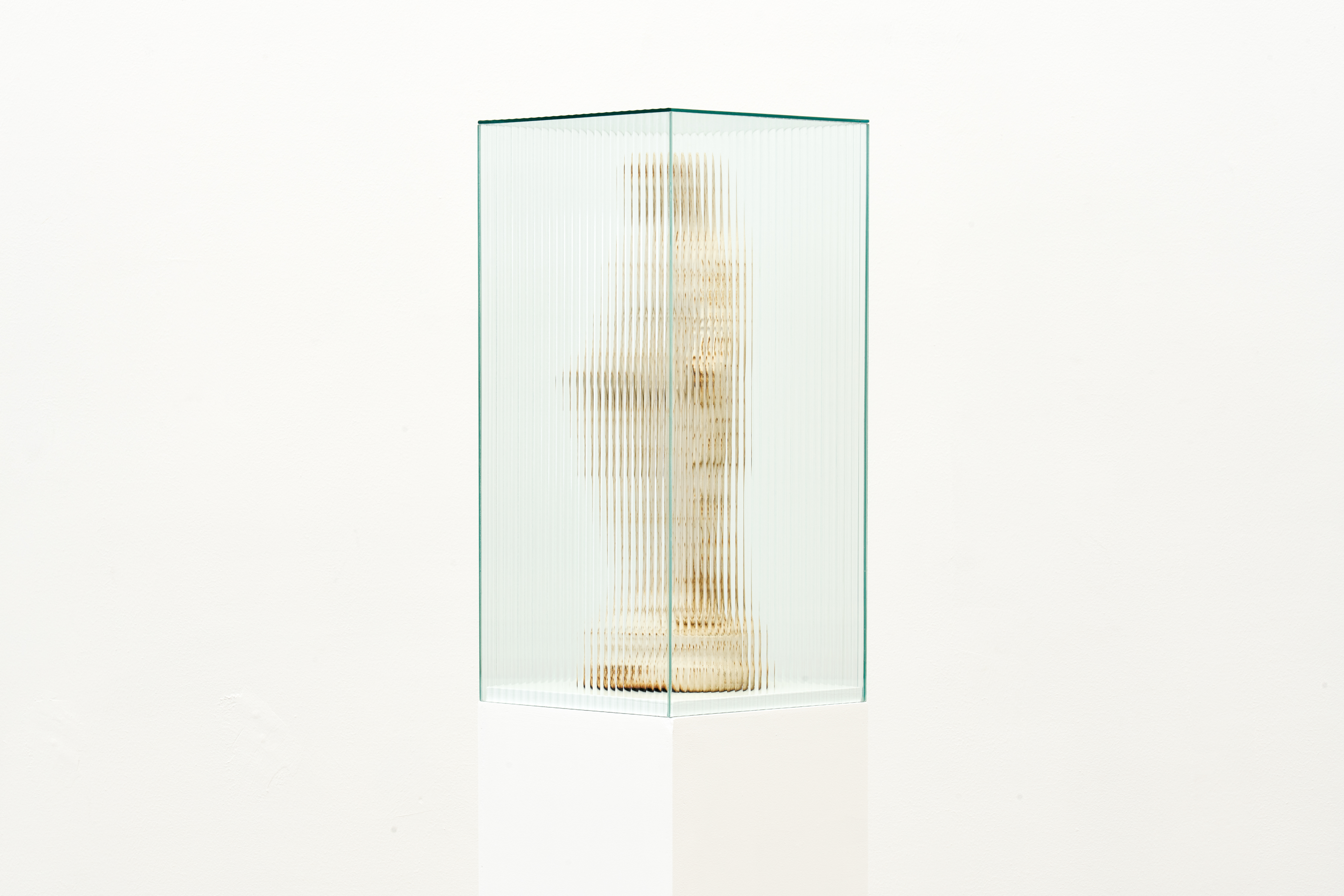 James Webb, This is where I leave you (Madonna of the suffering. The origin of the universe) (2020) | Wrought-iron Madonna statue, vitrine, plinth, 156 x 30 x 30 cm