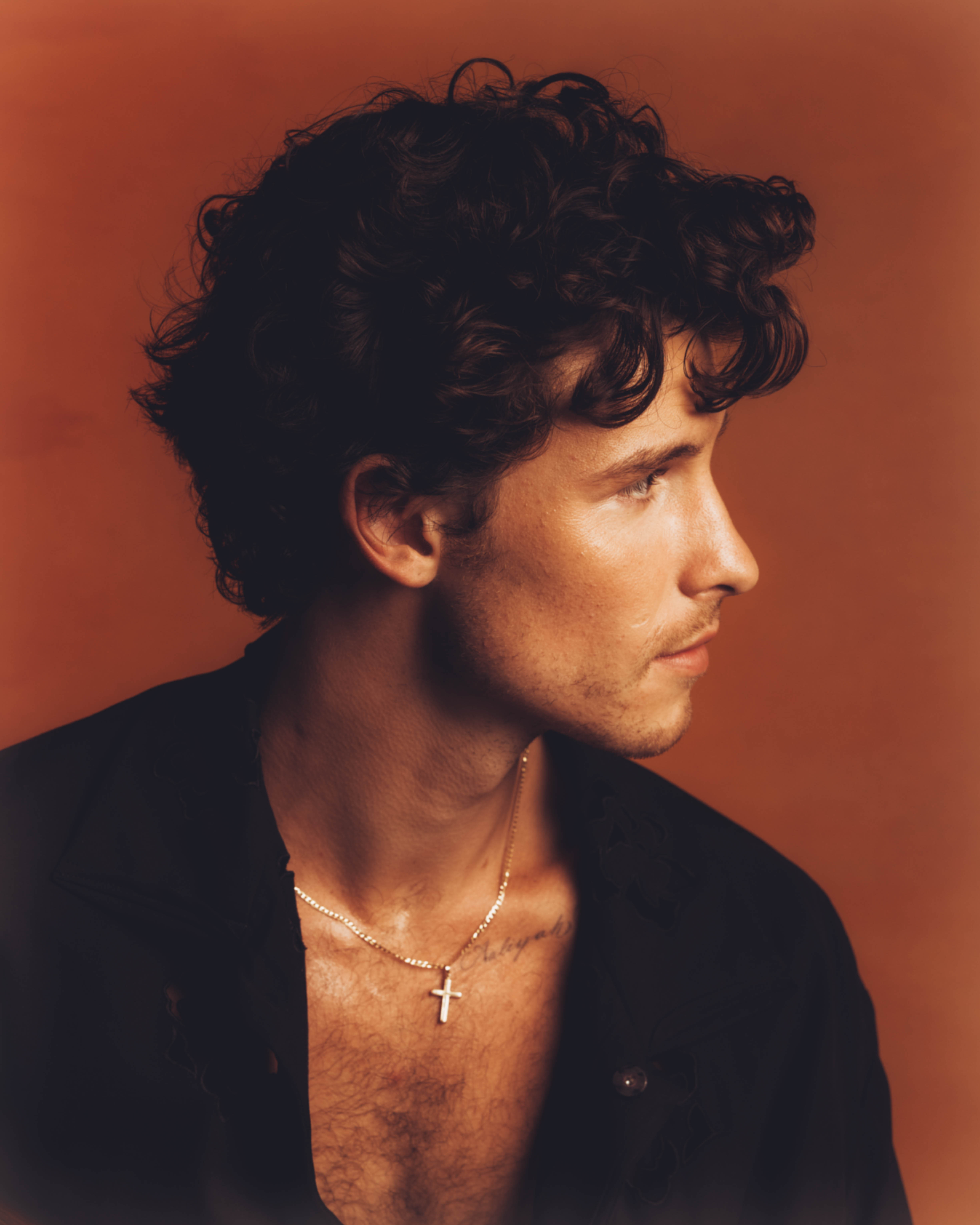 Shawn Mendes - Heart Of Gold