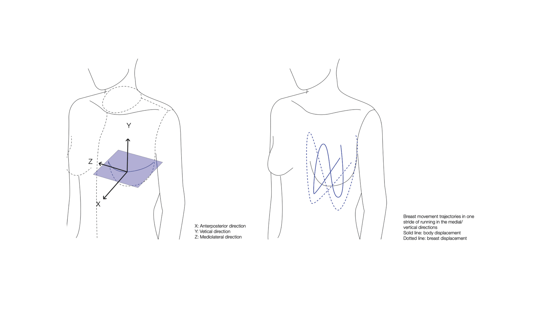 Biomechanics of breast displacement