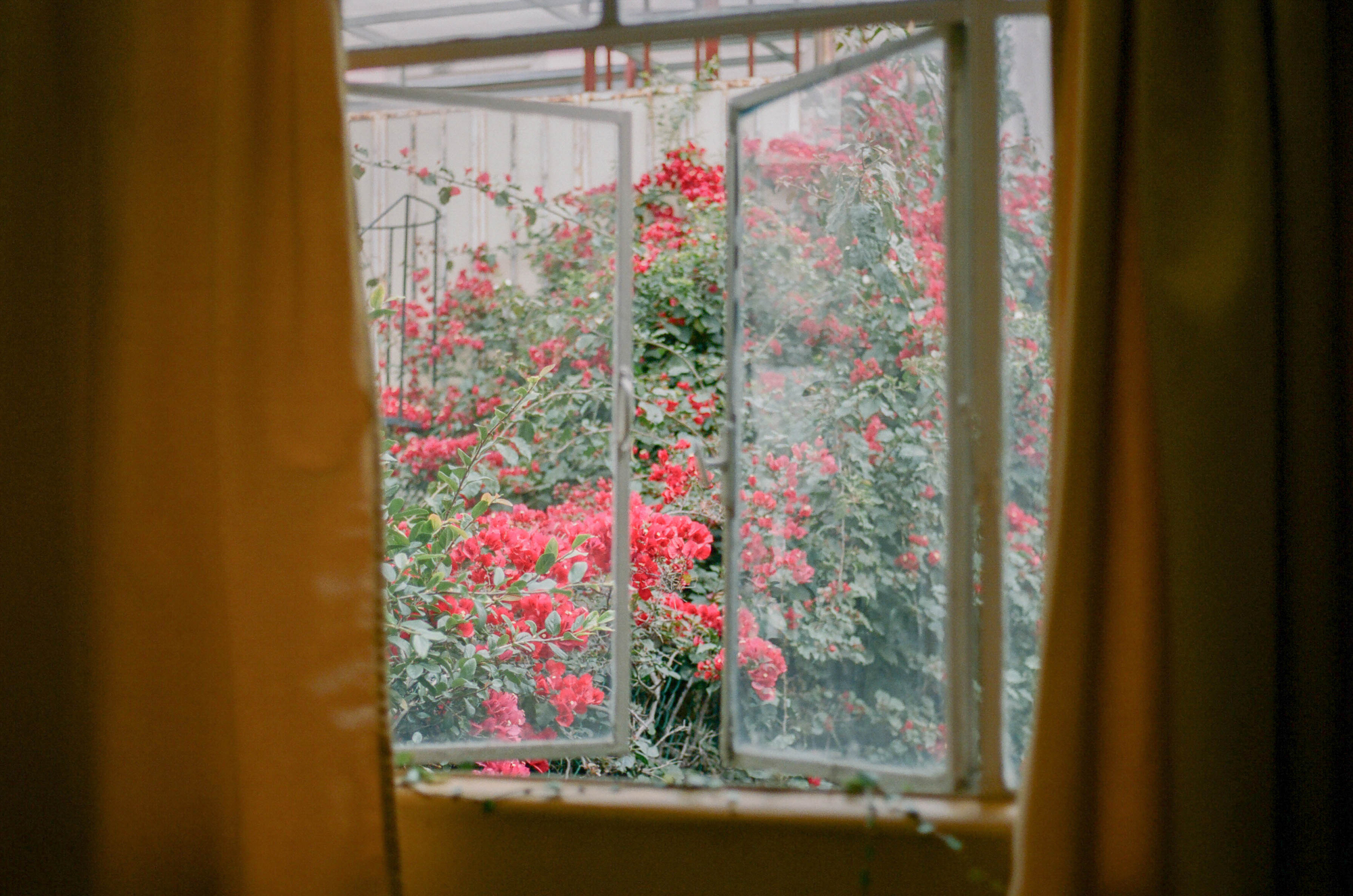 Mexico City for Airbnb