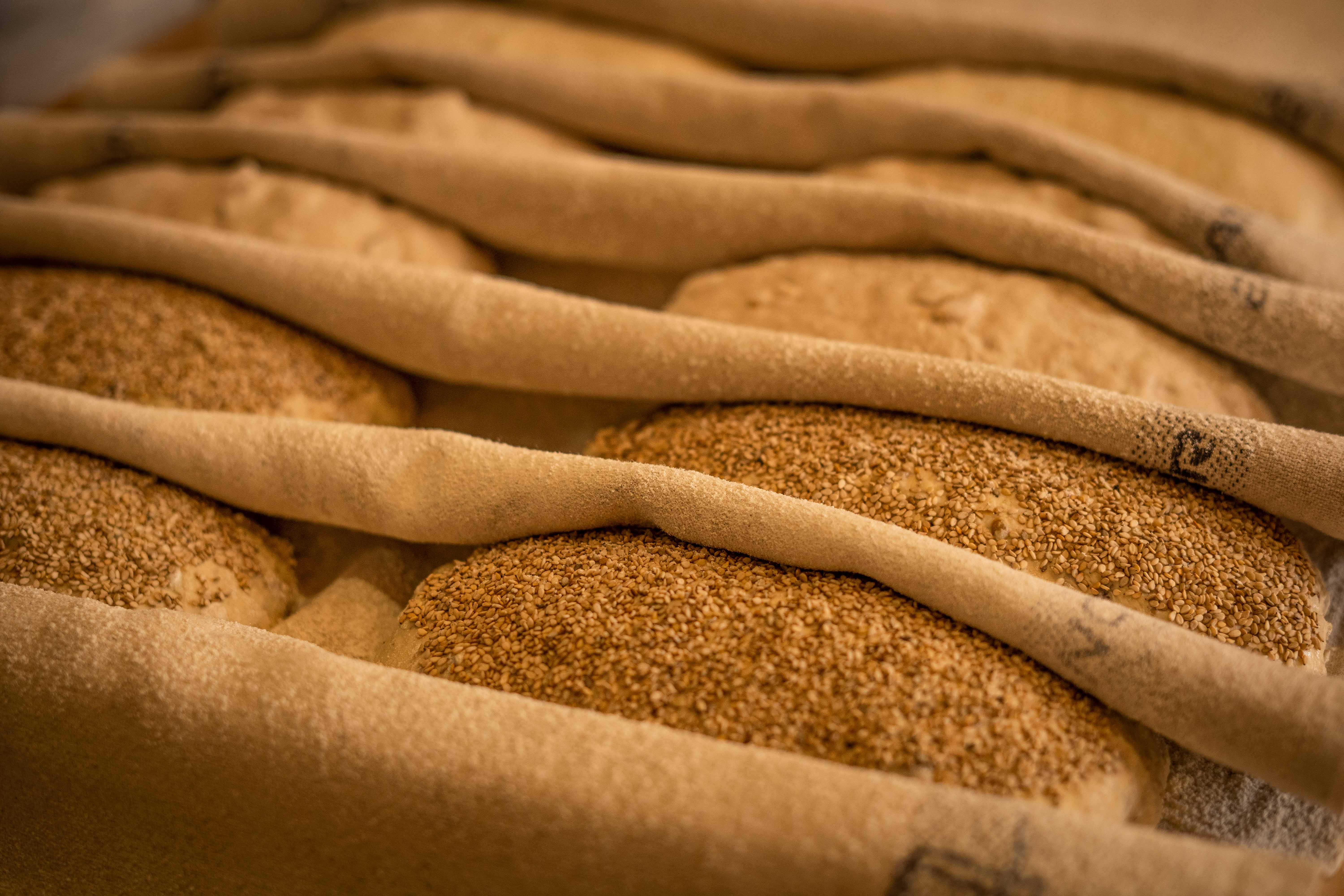 Utiliser le levain implique de travailler avec un organisme vivant. Il faut donc s’adapter à chacune de ses réactions. Dans la plupart des boulangeries françaises, le levain a été abandonné, remplacé par la levure pour des questions de productivité. Ce savoir-faire traditionnel n’est plus enseigné au CAP Boulangerie. 