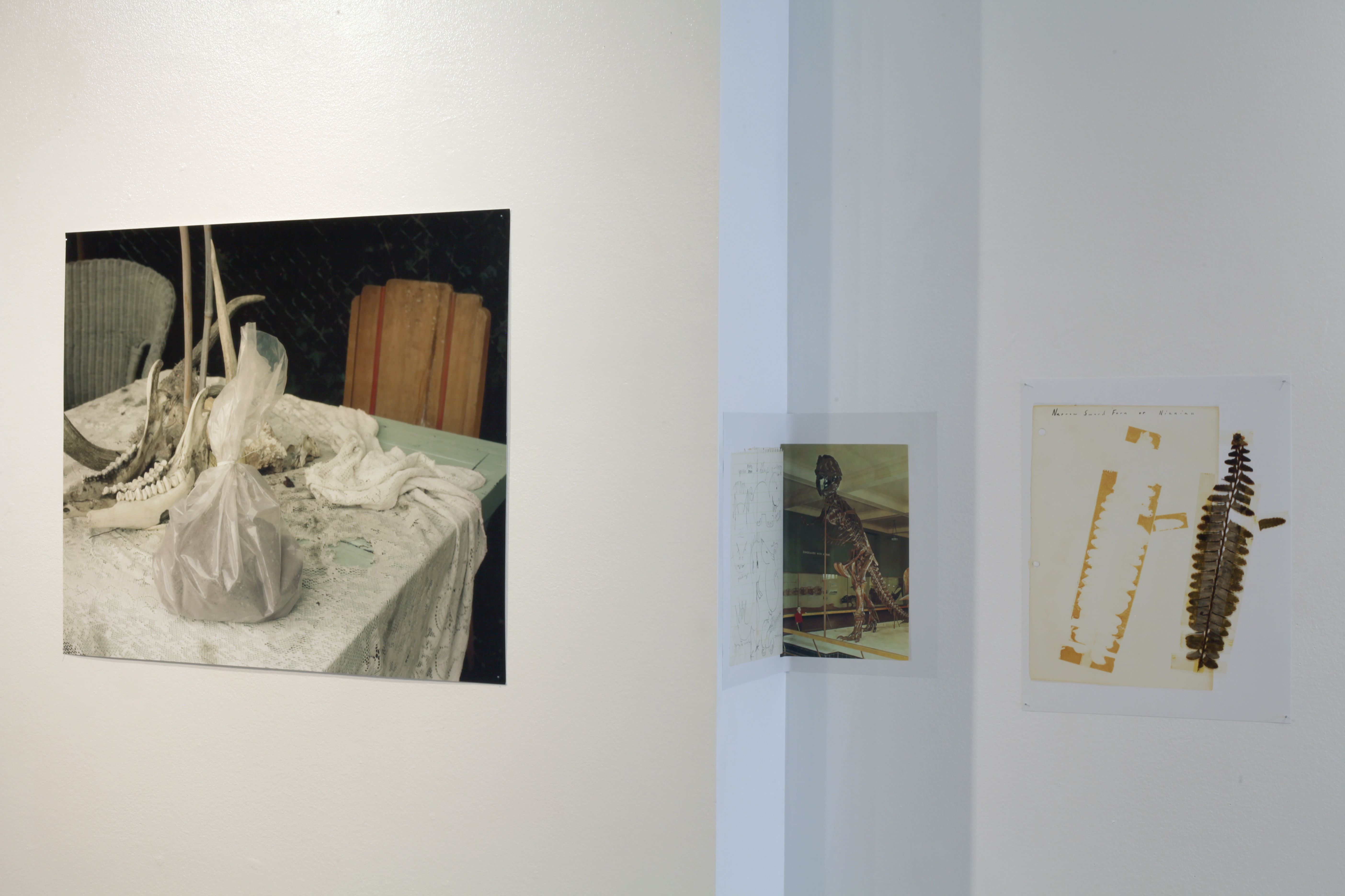 To light and then return, Greensboro Project Space, Greensboro, North Carolina, September 2022