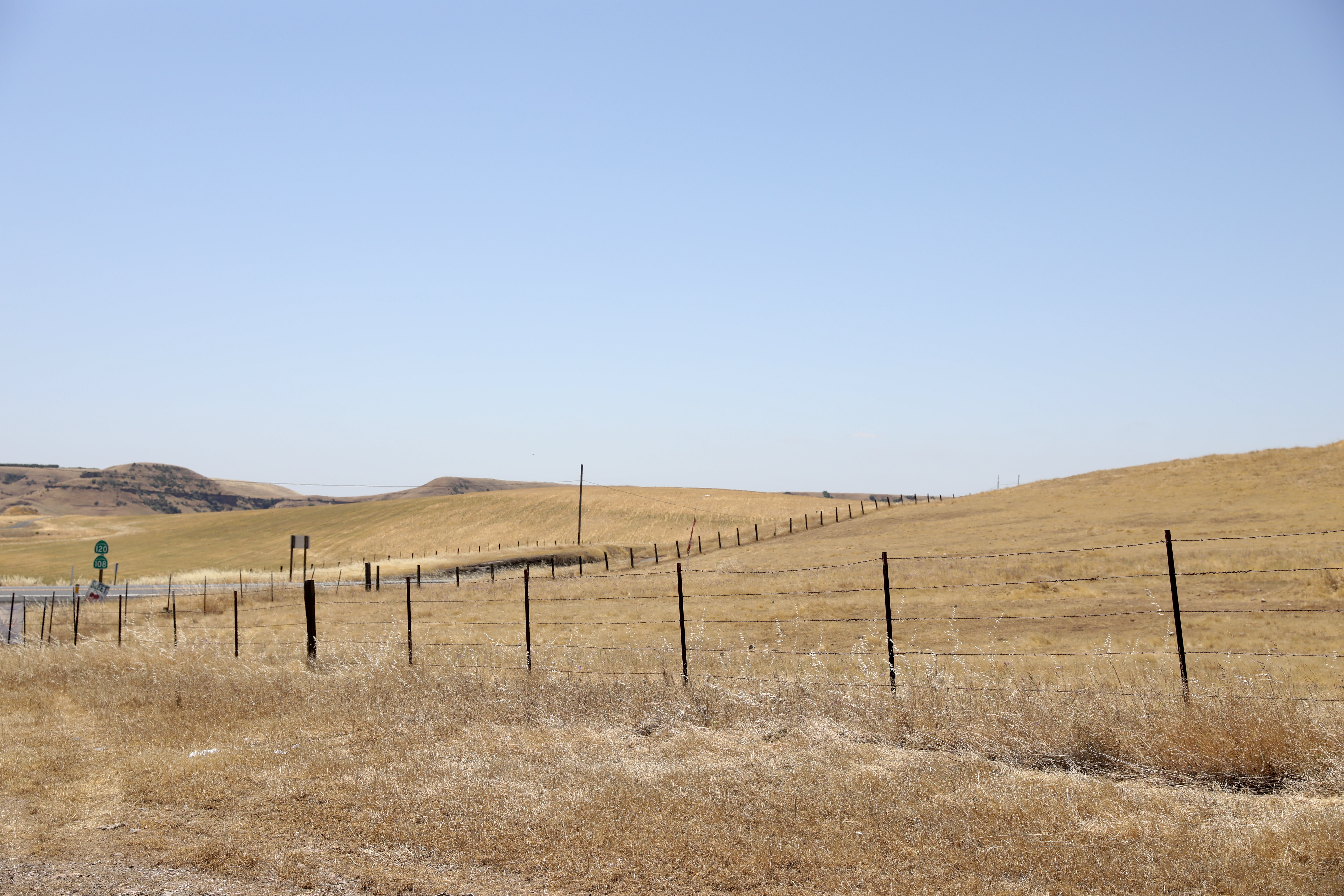 California's Backyard