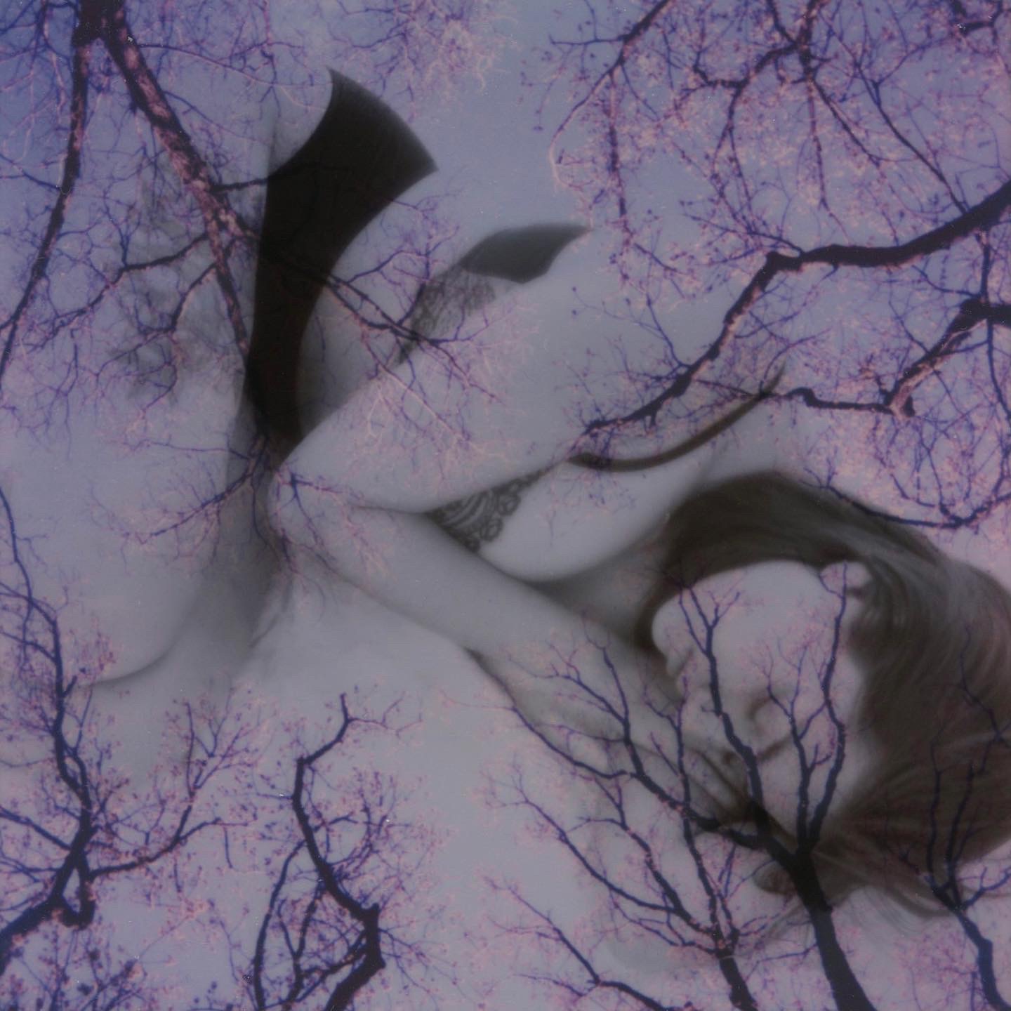 Physical manipulation transparency overlay of 2 polaroids