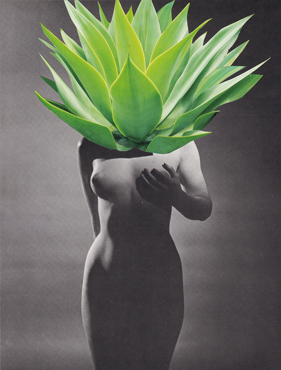 Woman Plant