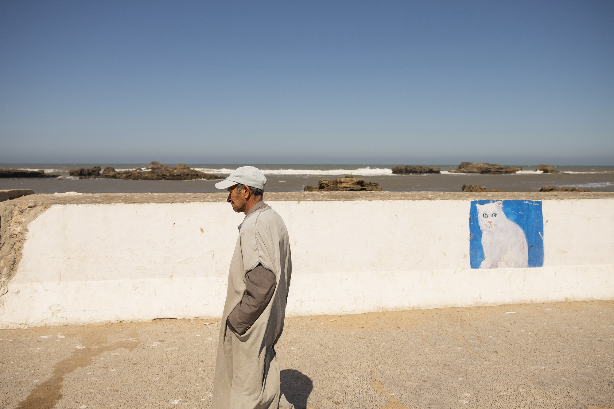 Cat waiting for fishermen´s prey.