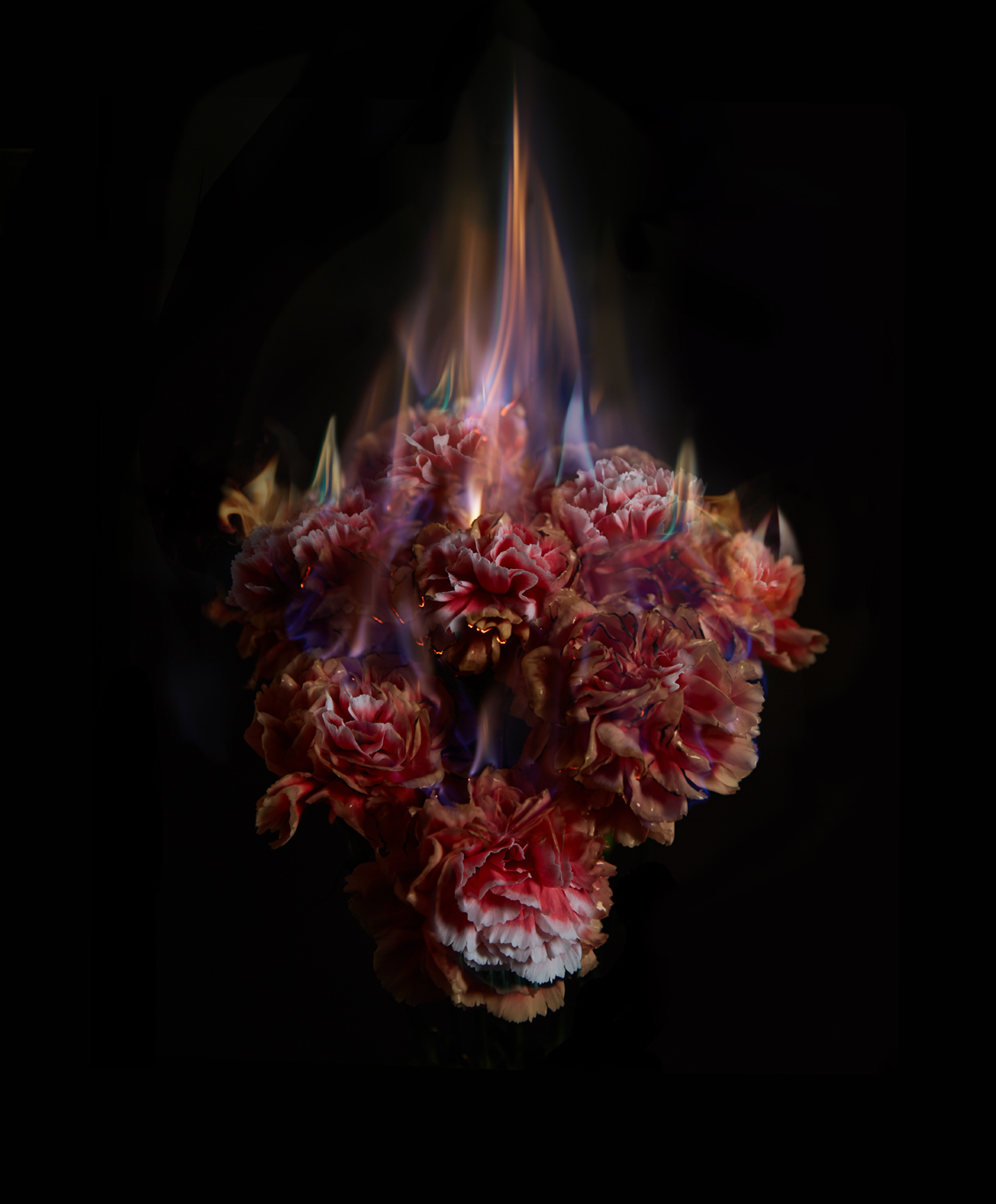 Mat Collishaw