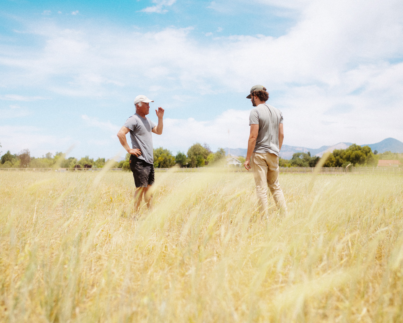 California Farms | Gjelina Group