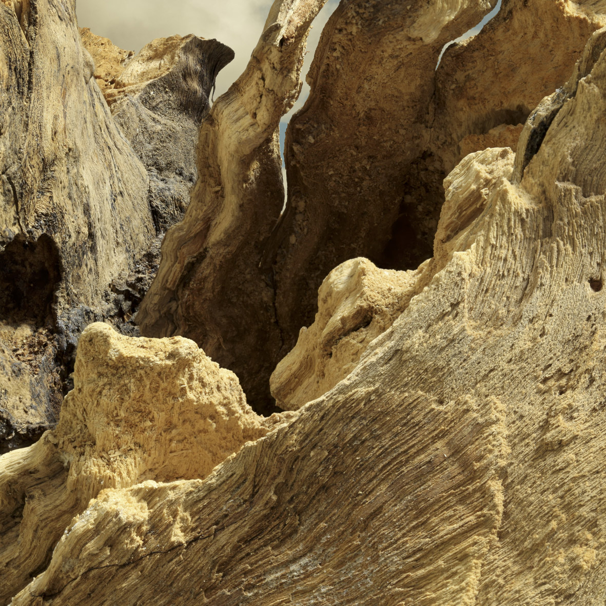 Paisaje ventoso2