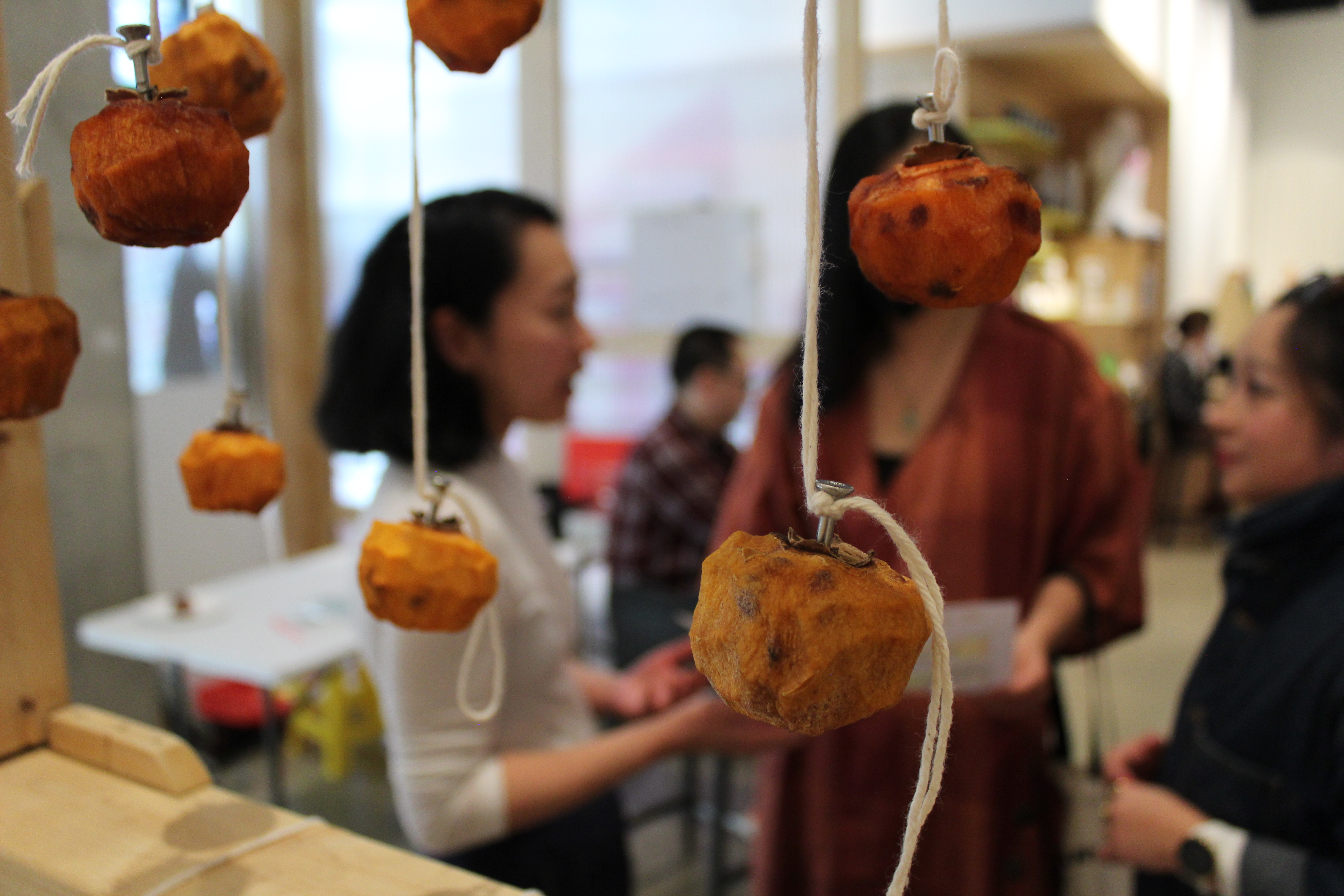 MoCa Arlington ISS Public Workshop