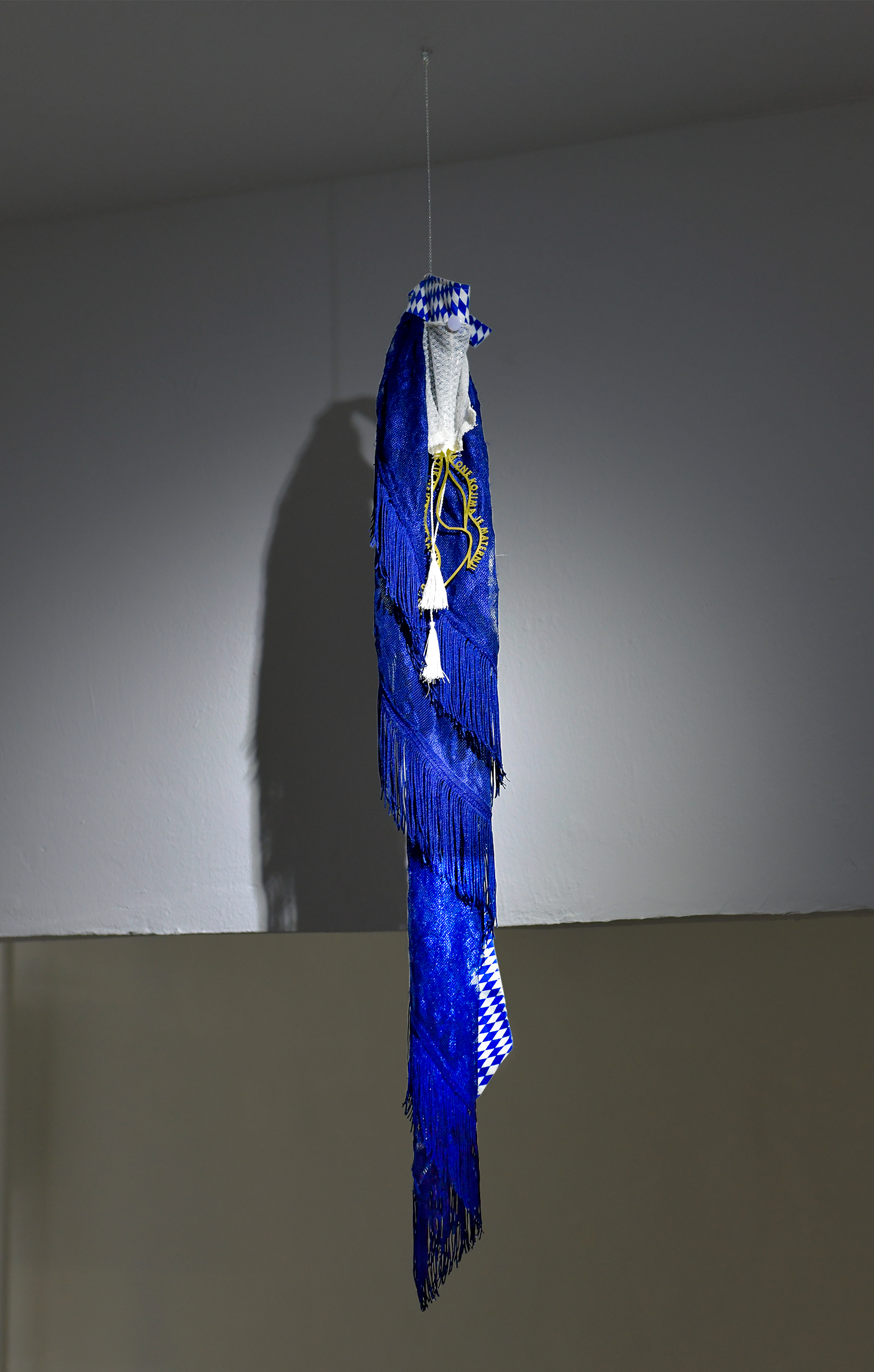 Viktoriia Ivasyshyna_Signs of the way; Franziska Windolf with a quote paraphrasing Milorad Vujovic_'To those, whose mother tongue is the invisible companion of the soul.' Image: Tom Hauzenberger.