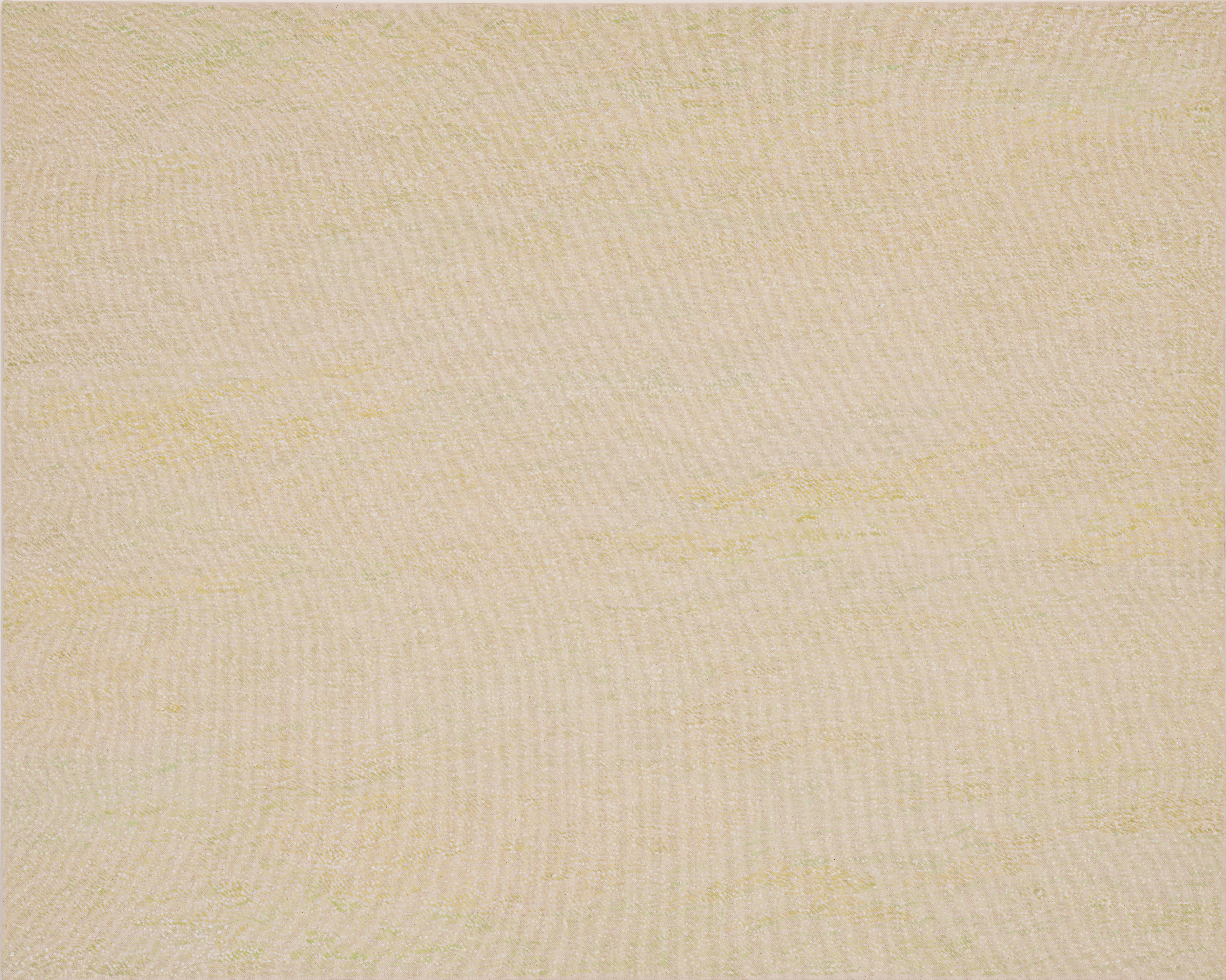 Strolling through the sky, 2024, oil on canvas, 80x100cm