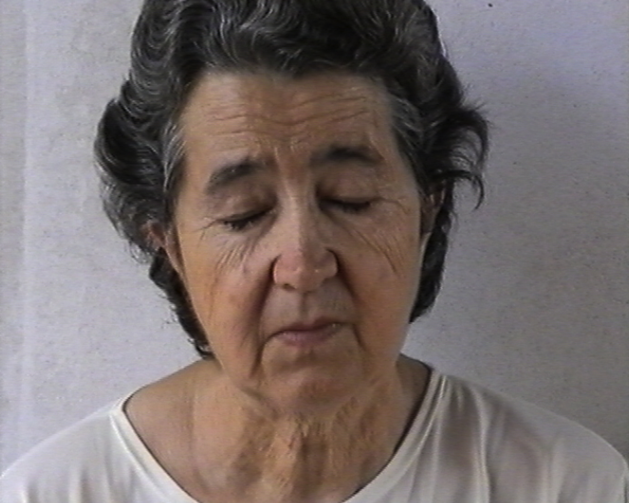  Dalice, 2005/2006 (Still Image) Video, Soundless 4'3" (in loop) in 2 monitors facing each other.