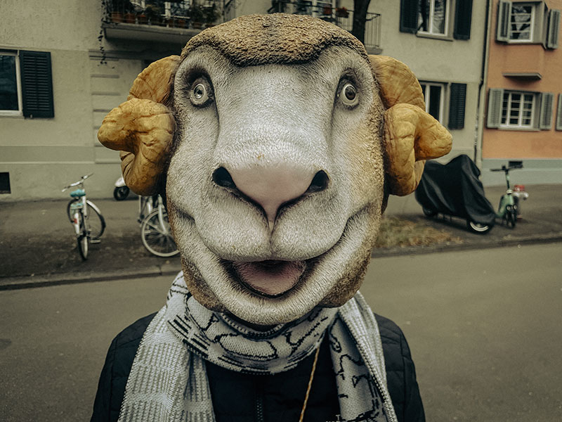 Cuno tr&auml;gt eine Schafmaske, gekauft mit weiteren Kleidungsst&uuml;cken.