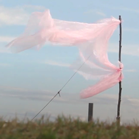 HOLY NOW MUSIC VIDEO