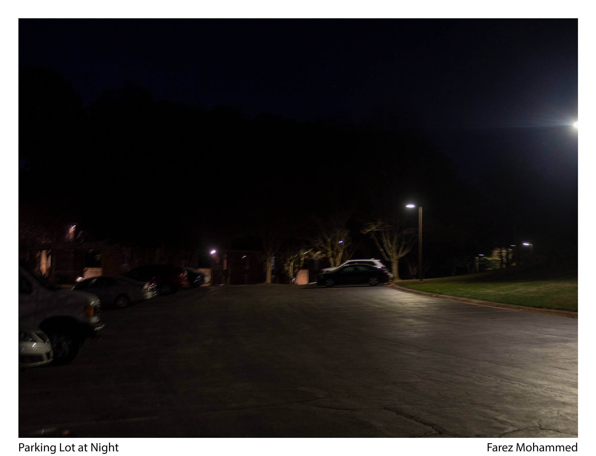 Art 109: Intro to Photography