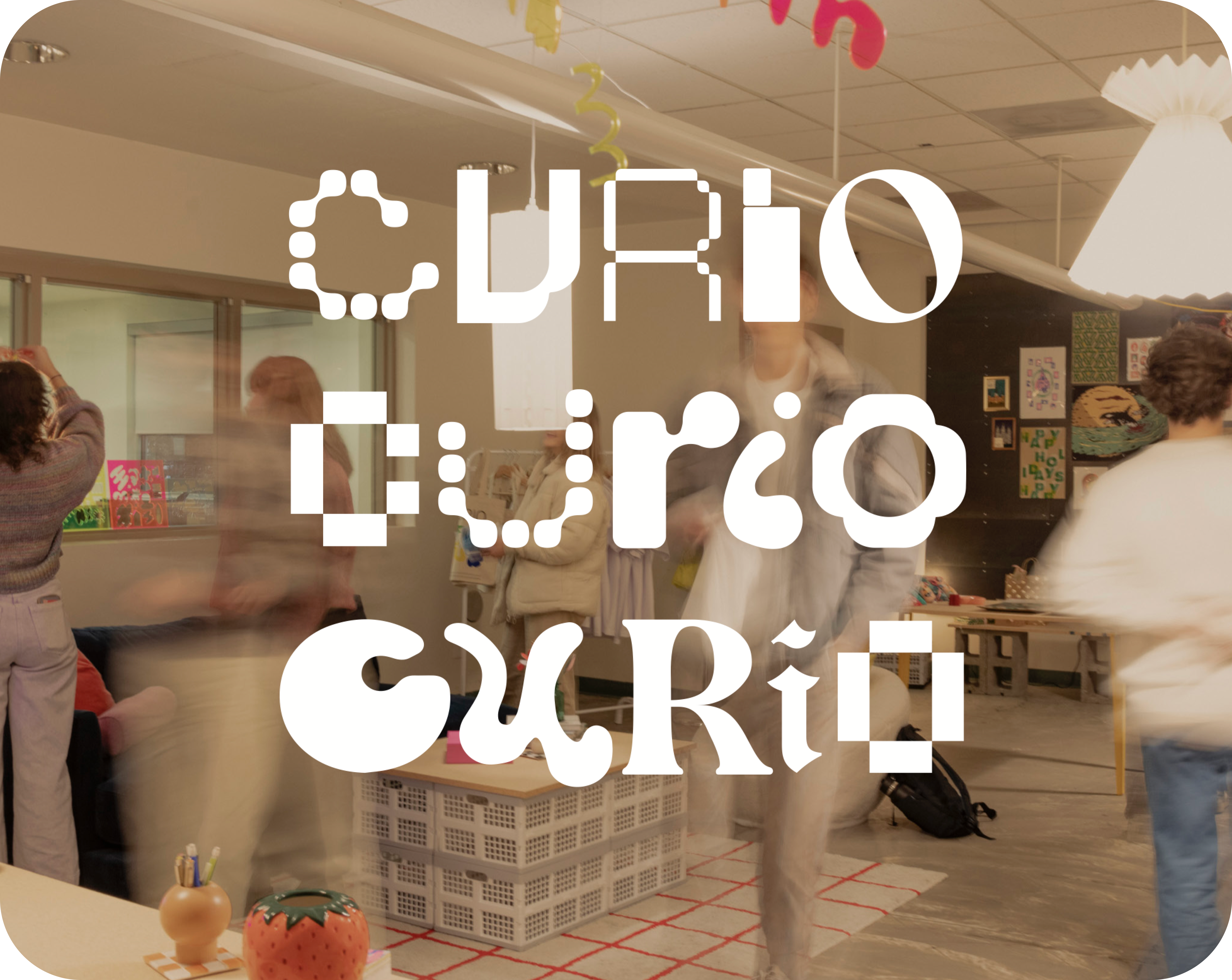 CURIO POP-UP