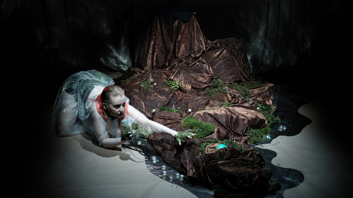 Campinas Correio Popular article (in Portuguese)