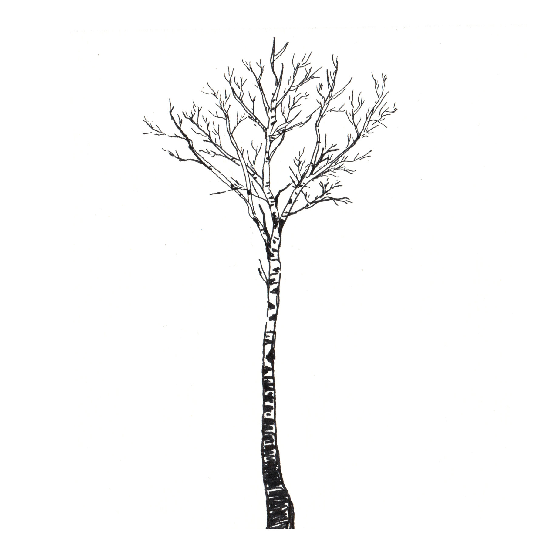 Lonely tree - Ink on paper 20x20 cm