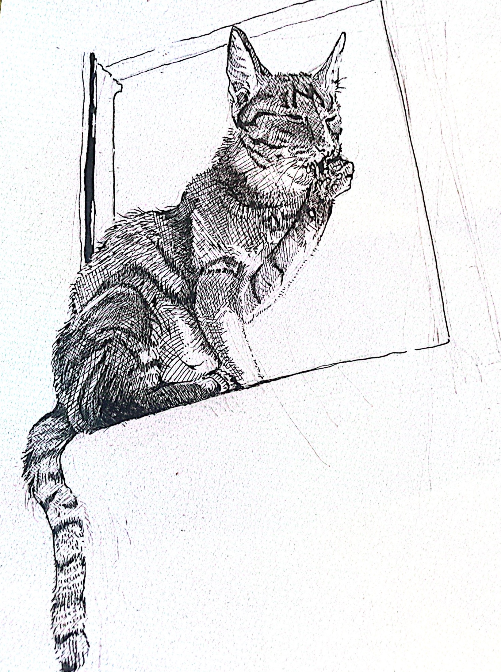 Windowsill, Ink on paper (2024)