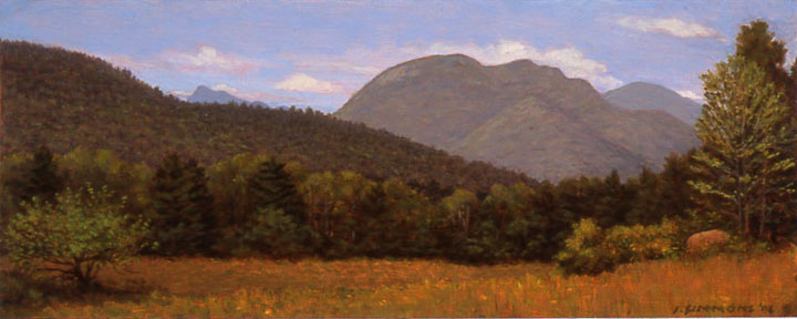 L2.4 - Hurricane Rd. Adks.