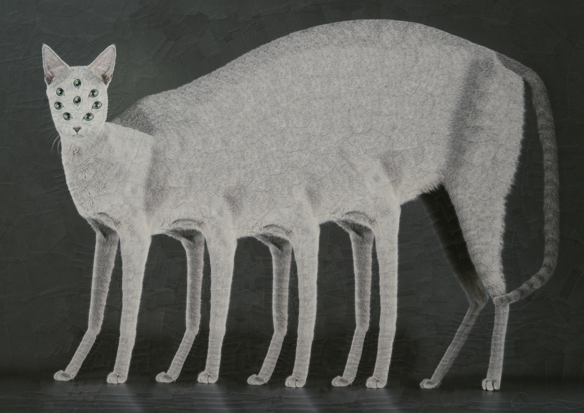 Spaghetti, 2022, 16.5 x 11.6 inches