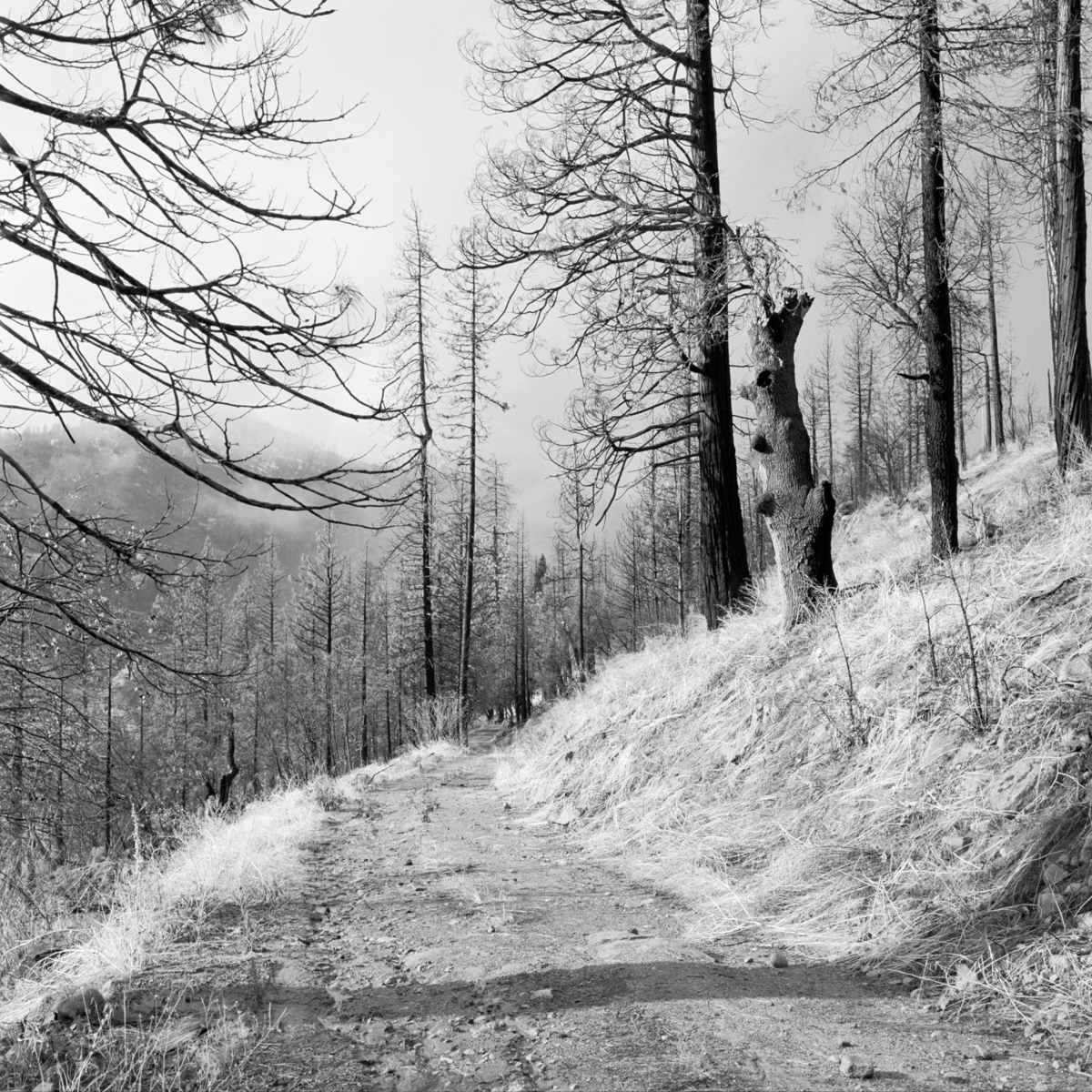'ROAD TURNING'
