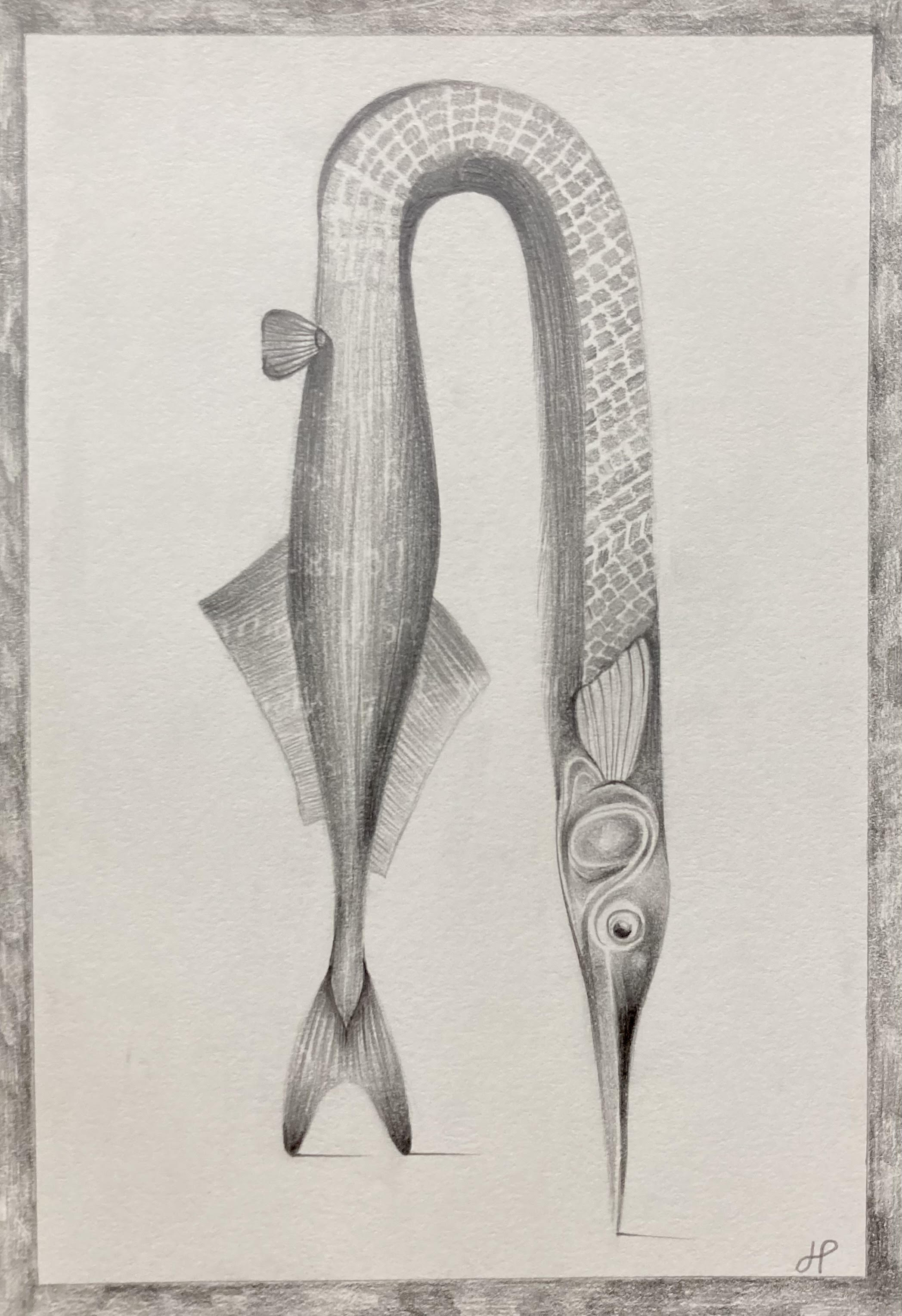 Stalefish, Graphite, 2024