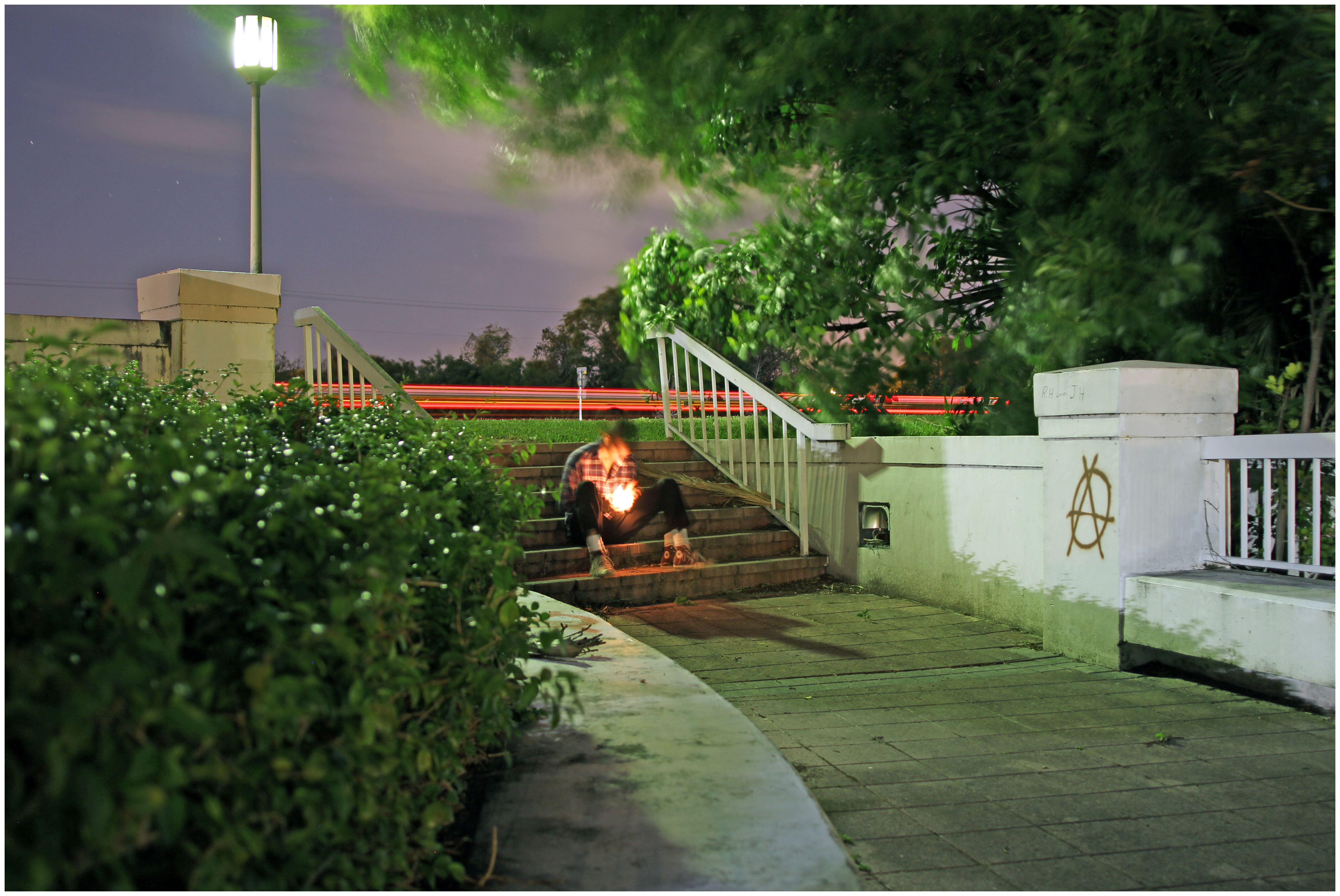 The Jungle Exhaled Mists of Early Morning, 2013DSLR image72 x 48 in.182.88 x 121.92 cm