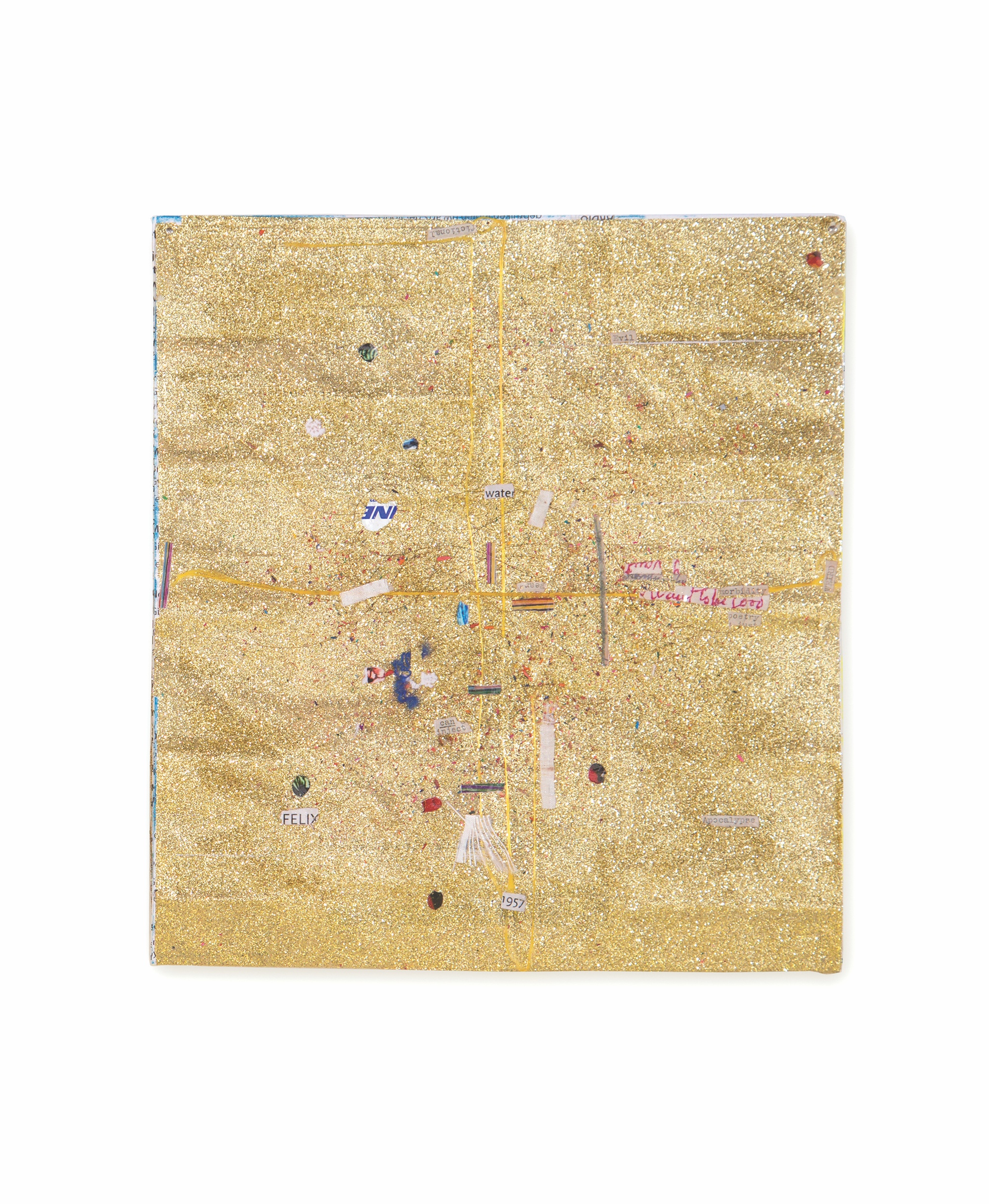  Nem Tudo Que Brilha é Ouro, 2016 . Glitter, hair, dry petals of flowers and fragments of cloth, paper and photographs on information leaflets .  27 x 24 cm