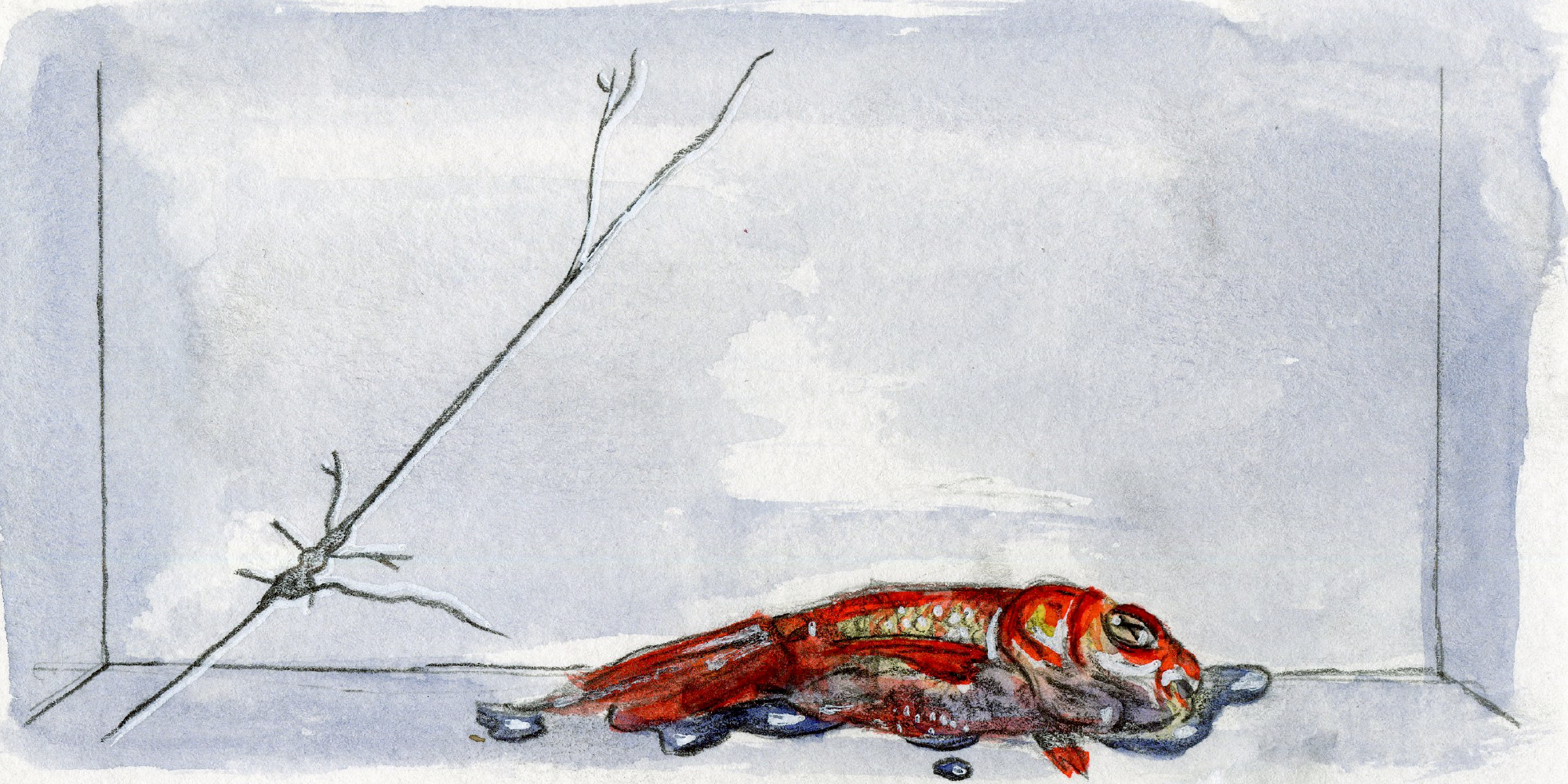 cracked tank from fish book 2019 watercolor