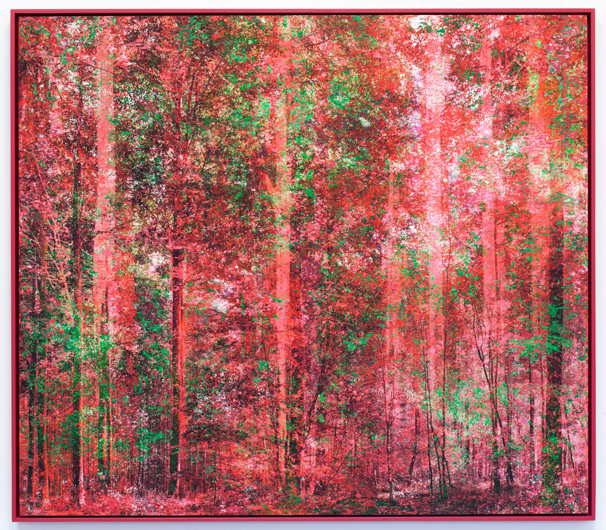 "Songe", rose, 80X70cm, 2022