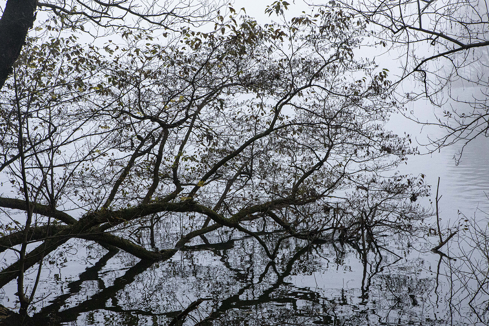 PHOTOGRAPHY RAF STUDIO at  VILLA KUJOYAMA