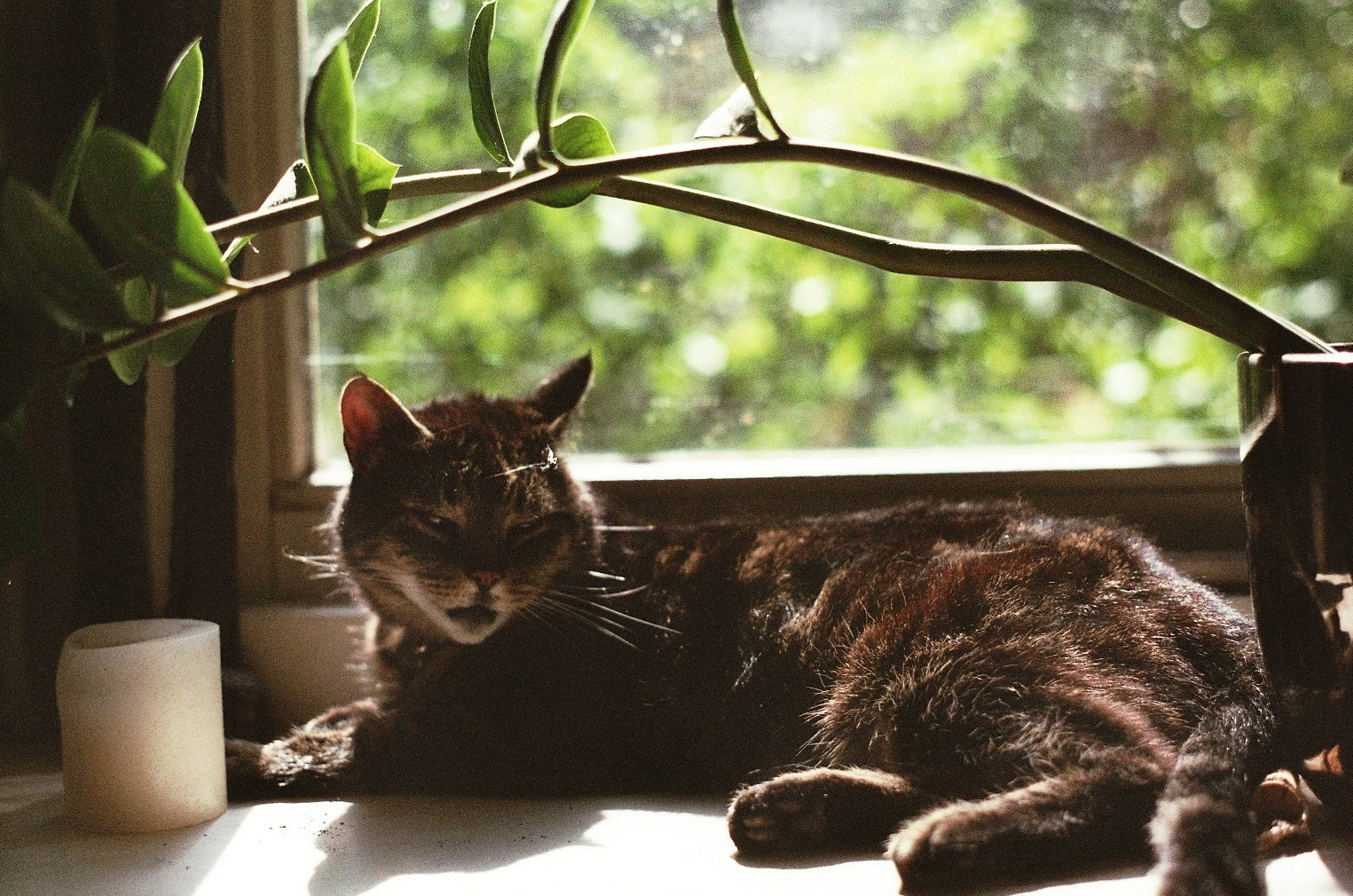 Love is easy; easy to get and easy to lose