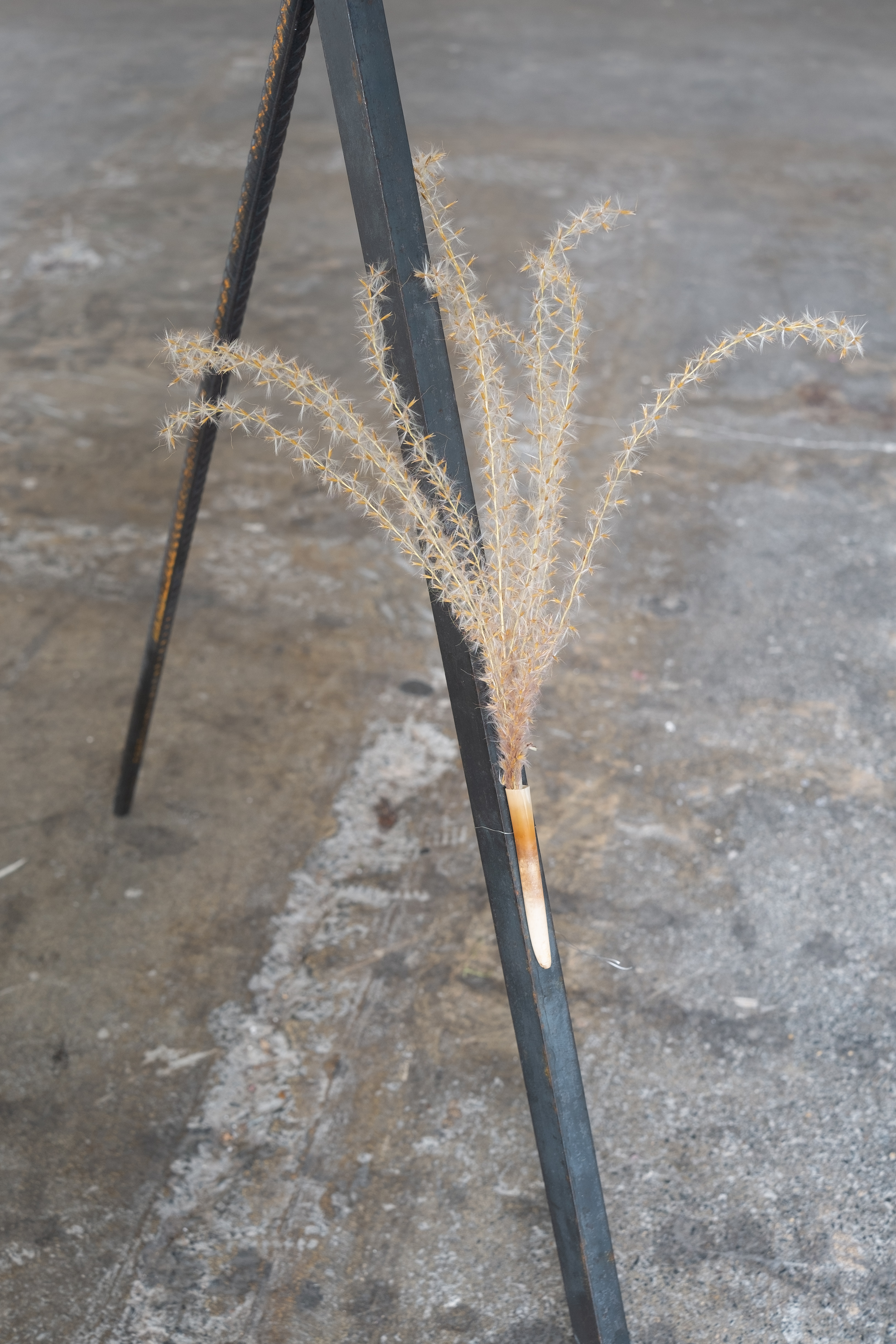 Tickle Me, detail". Jasmine Pajdak