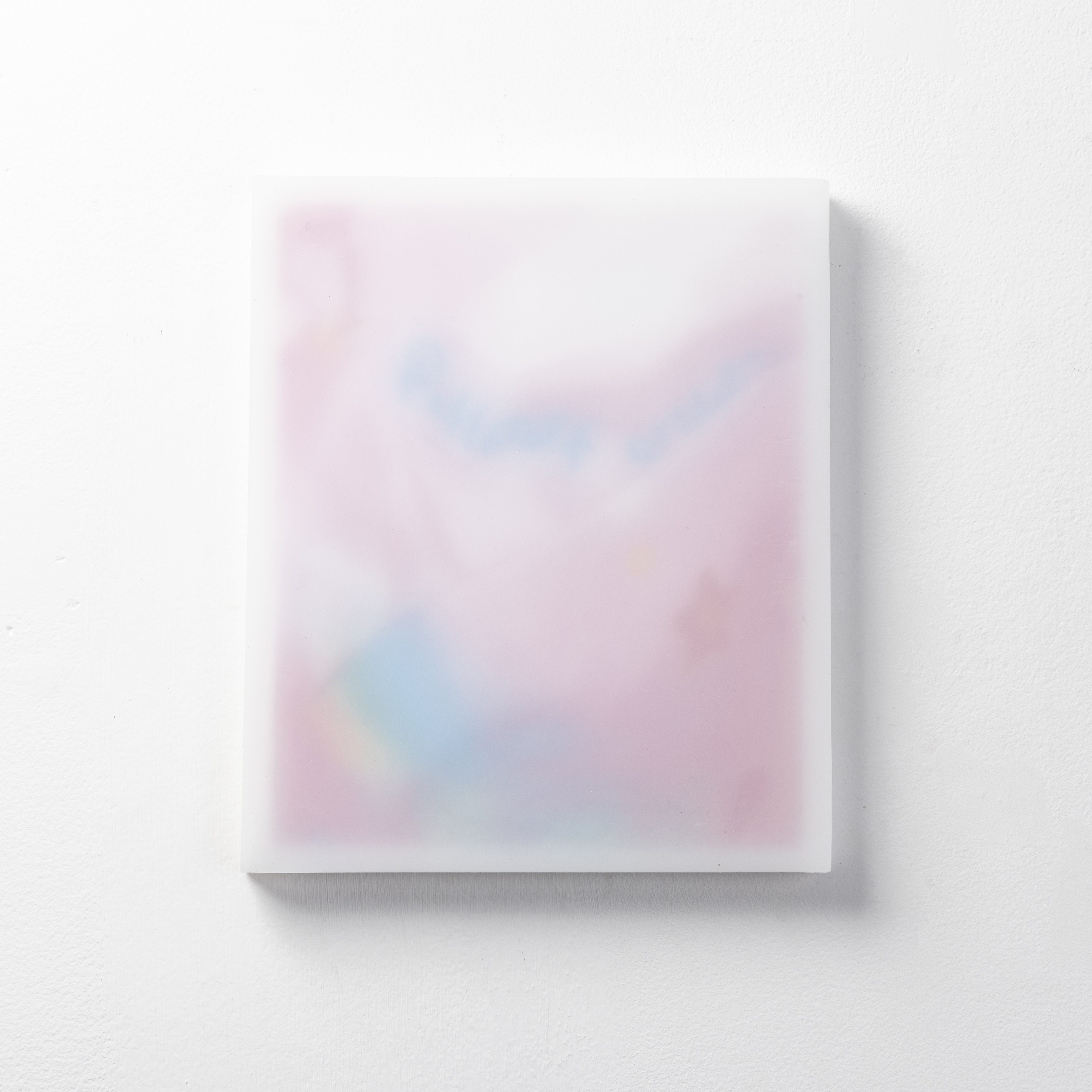 pony2024Platinum silicone, toner and vinyl on board30 x 25cm