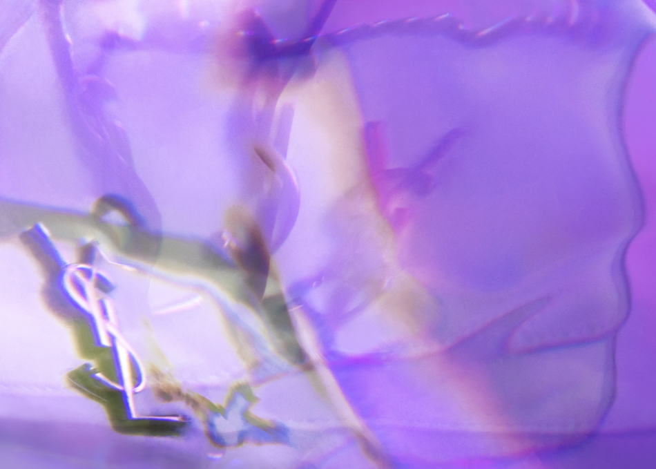 Trouble Vision - Saint Laurent