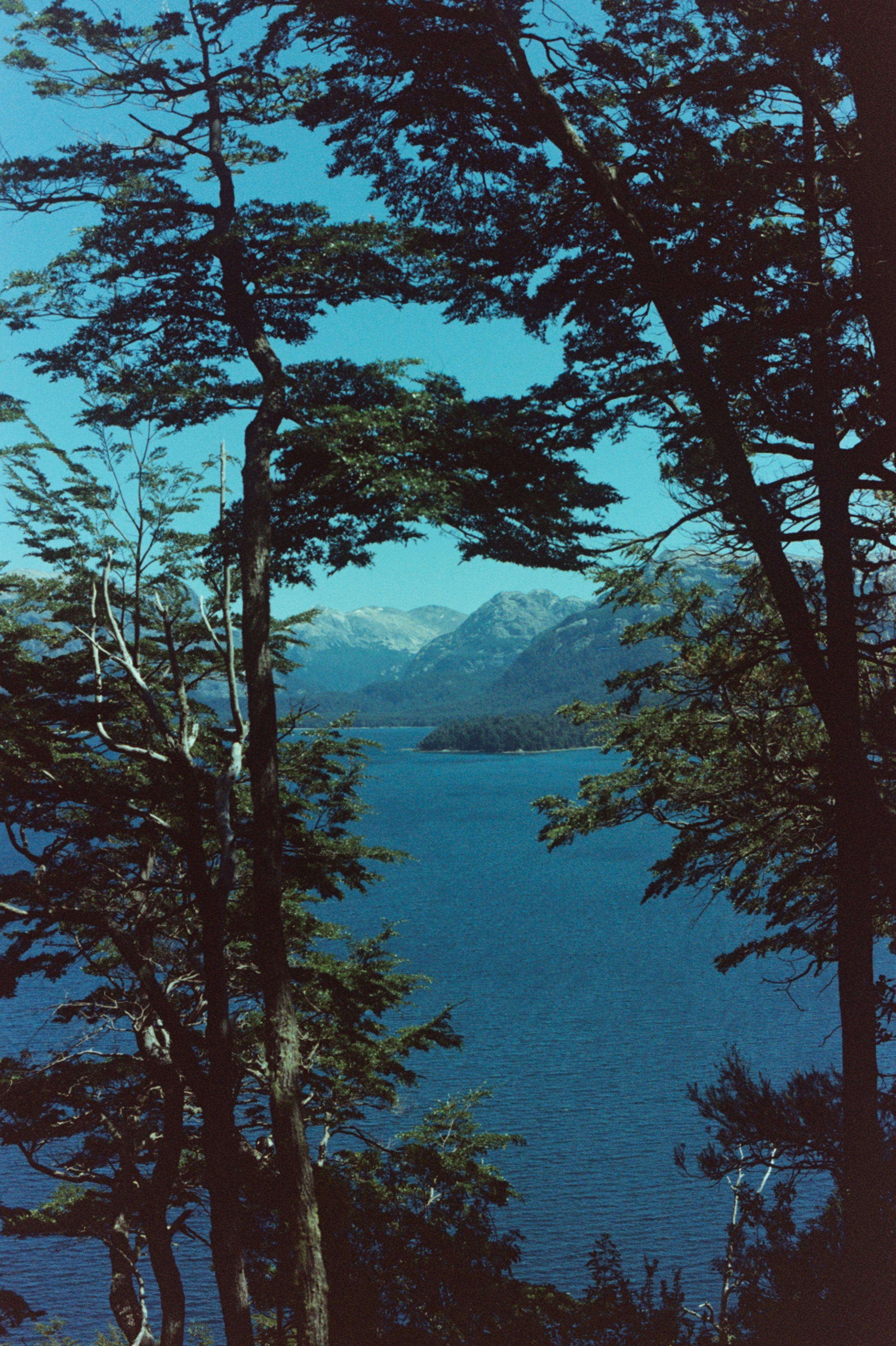Patagonia, Argentina 2020 (35mm)