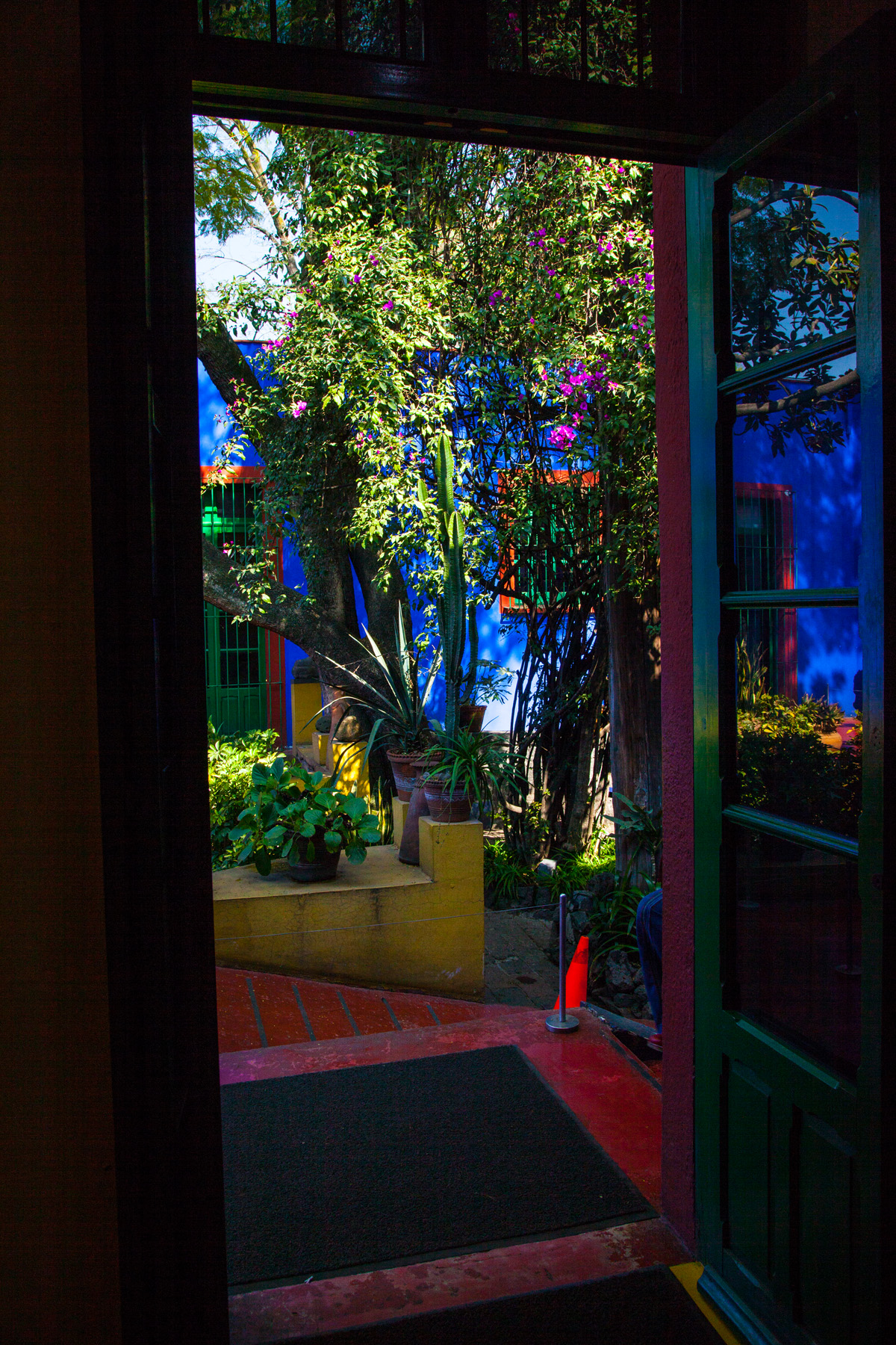 Frida Kahlo, Mexico City, 2018