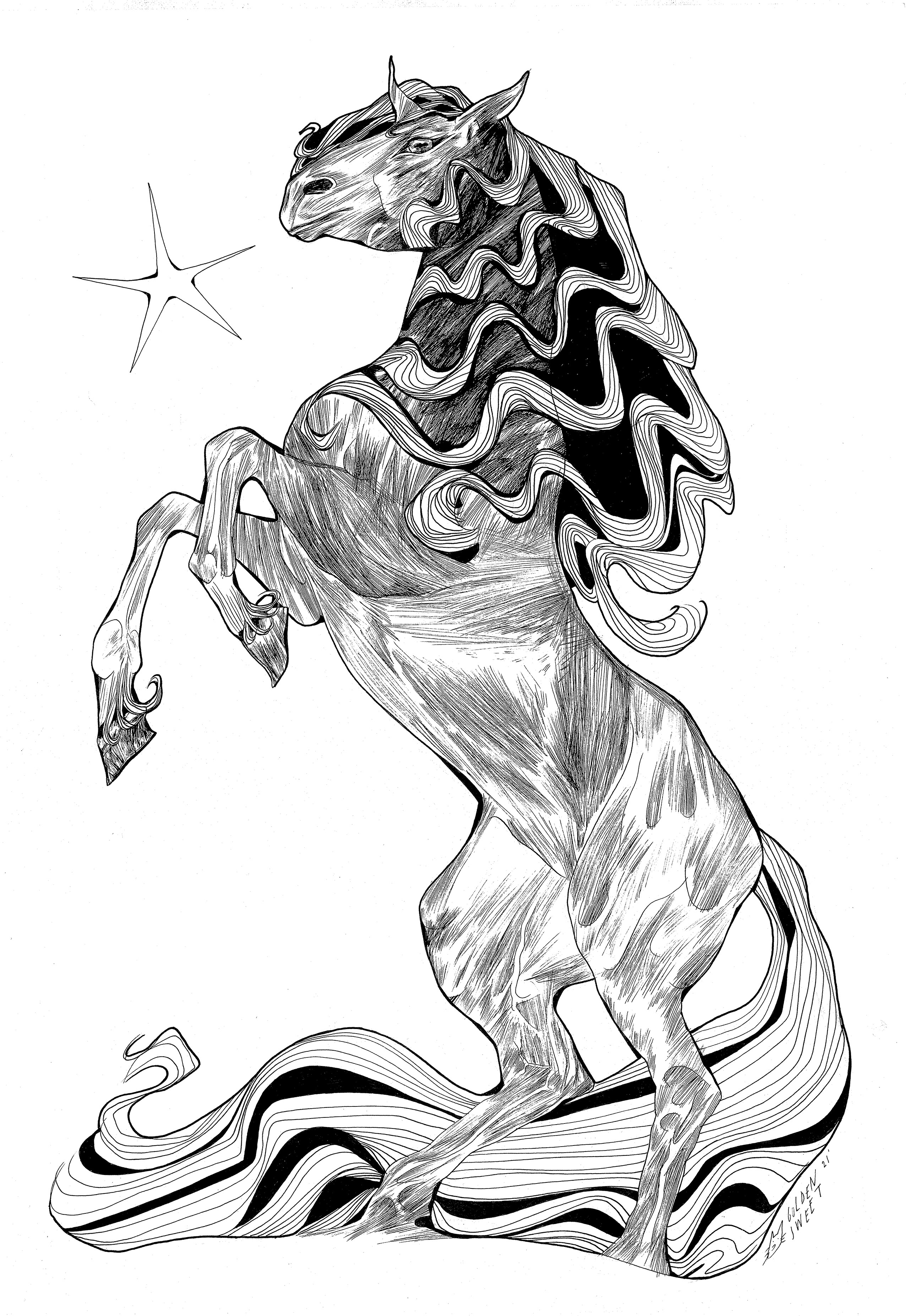 L͓̽i͓̽g͓̽h͓̽t͓̽ ͓̽C͓̽h͓̽a͓̽s͓̽e͓̽r͓̽