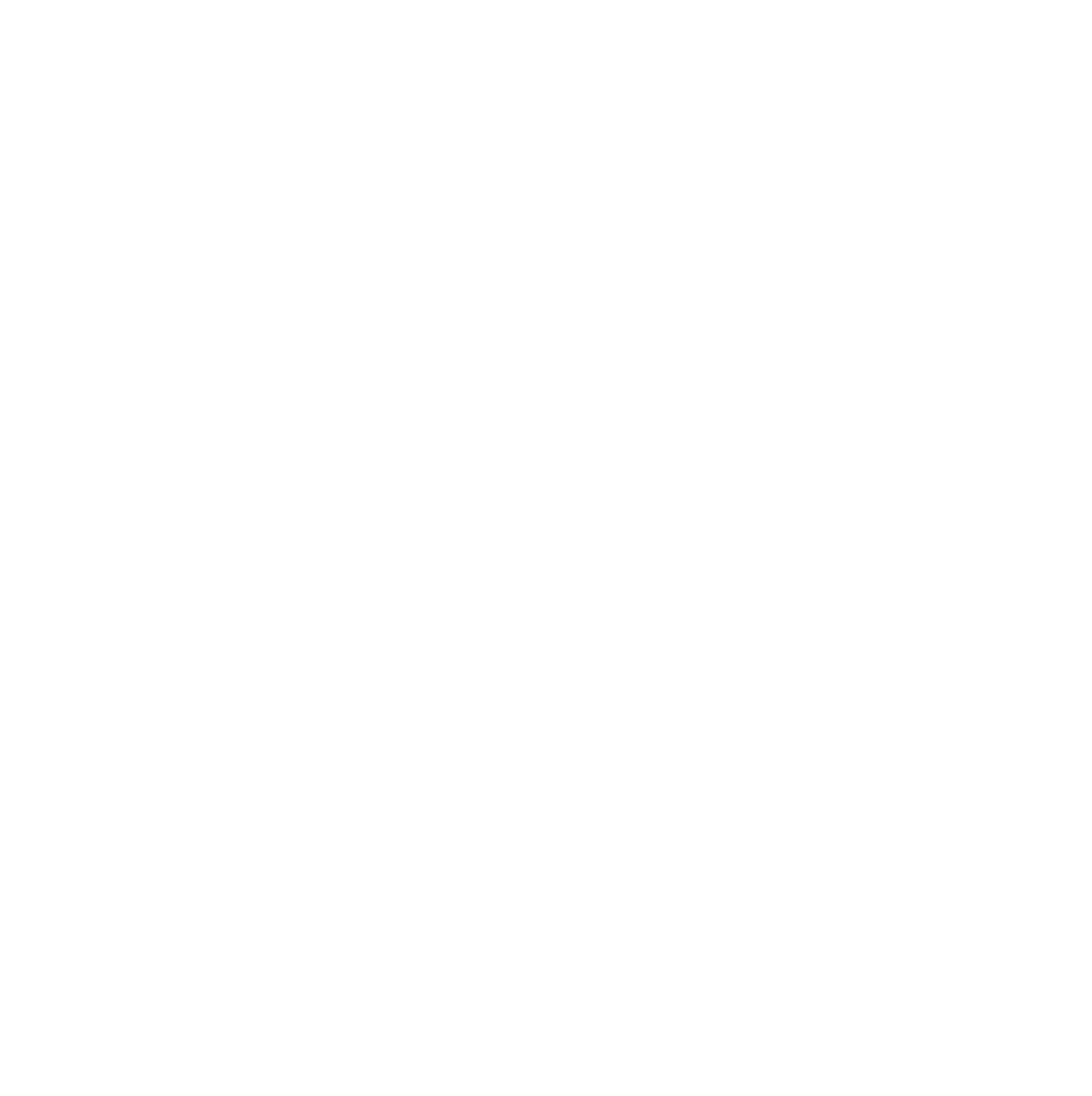 NICE Logo Follower