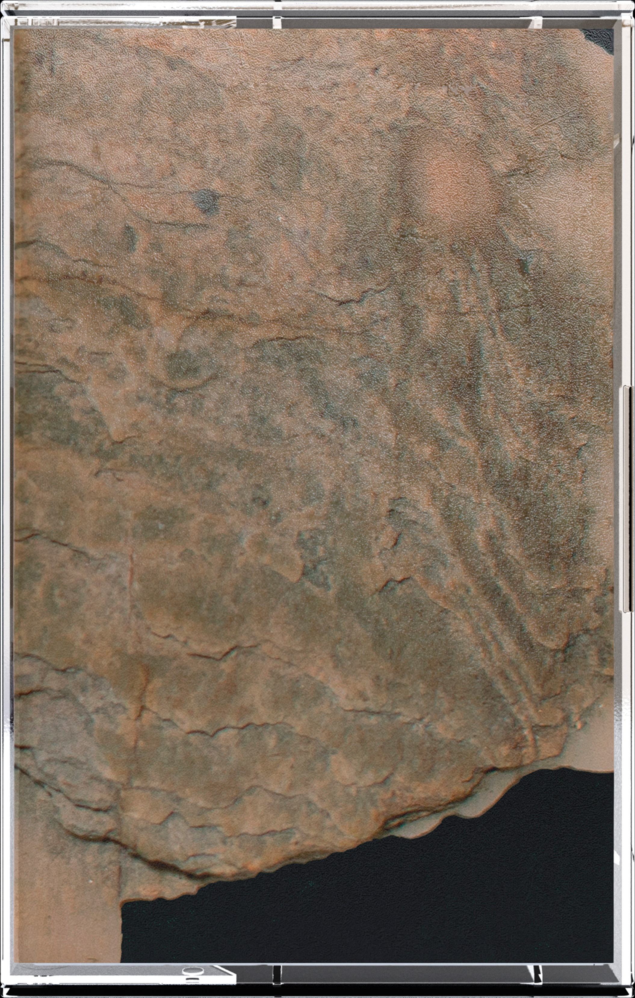 U.W.S. Cassette (2022)