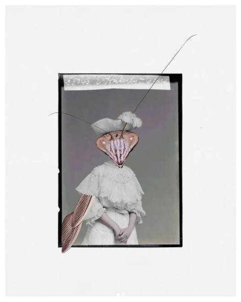 Guilherme Albuquerque